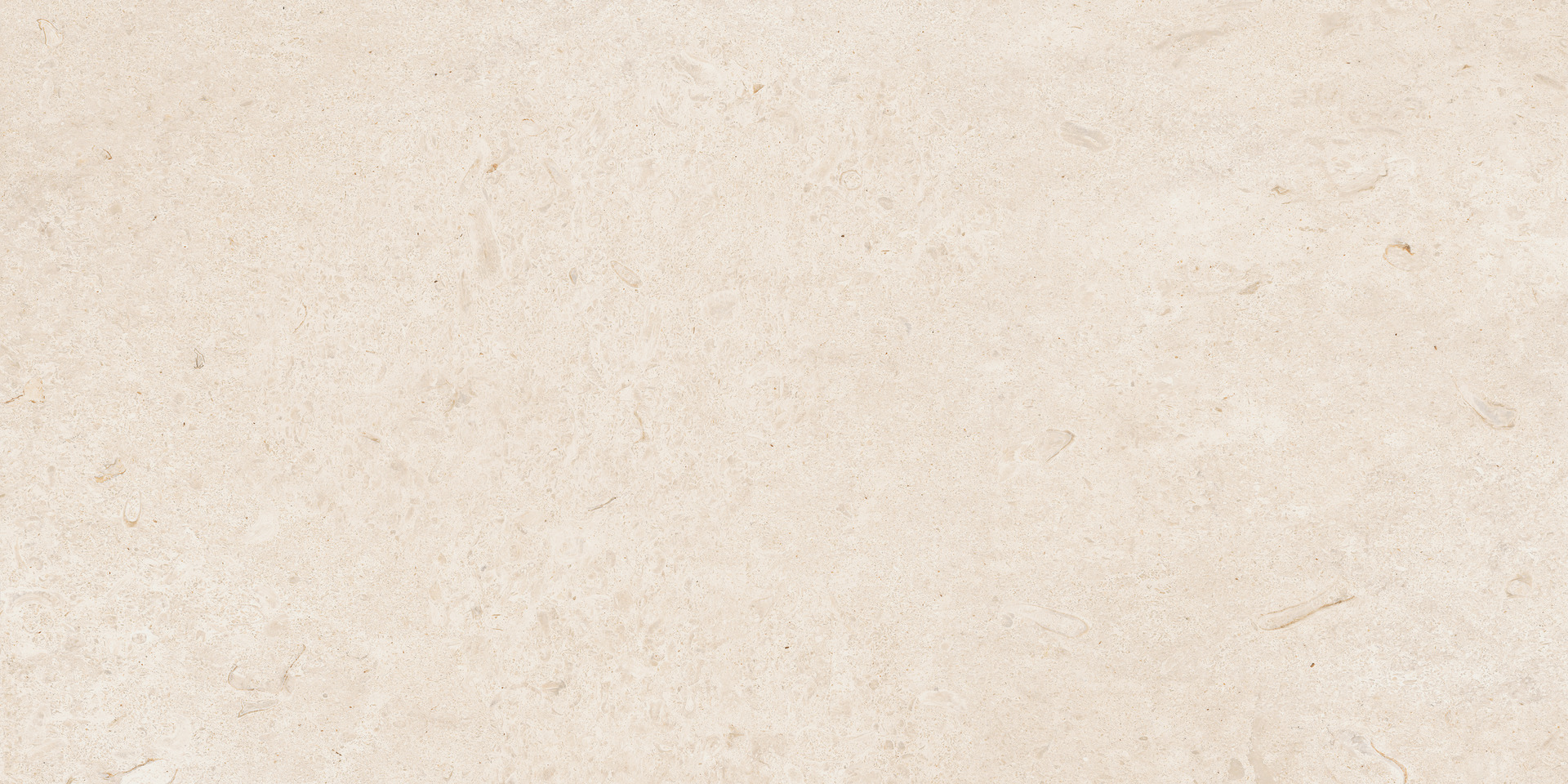 Caracter Blanco Rett.