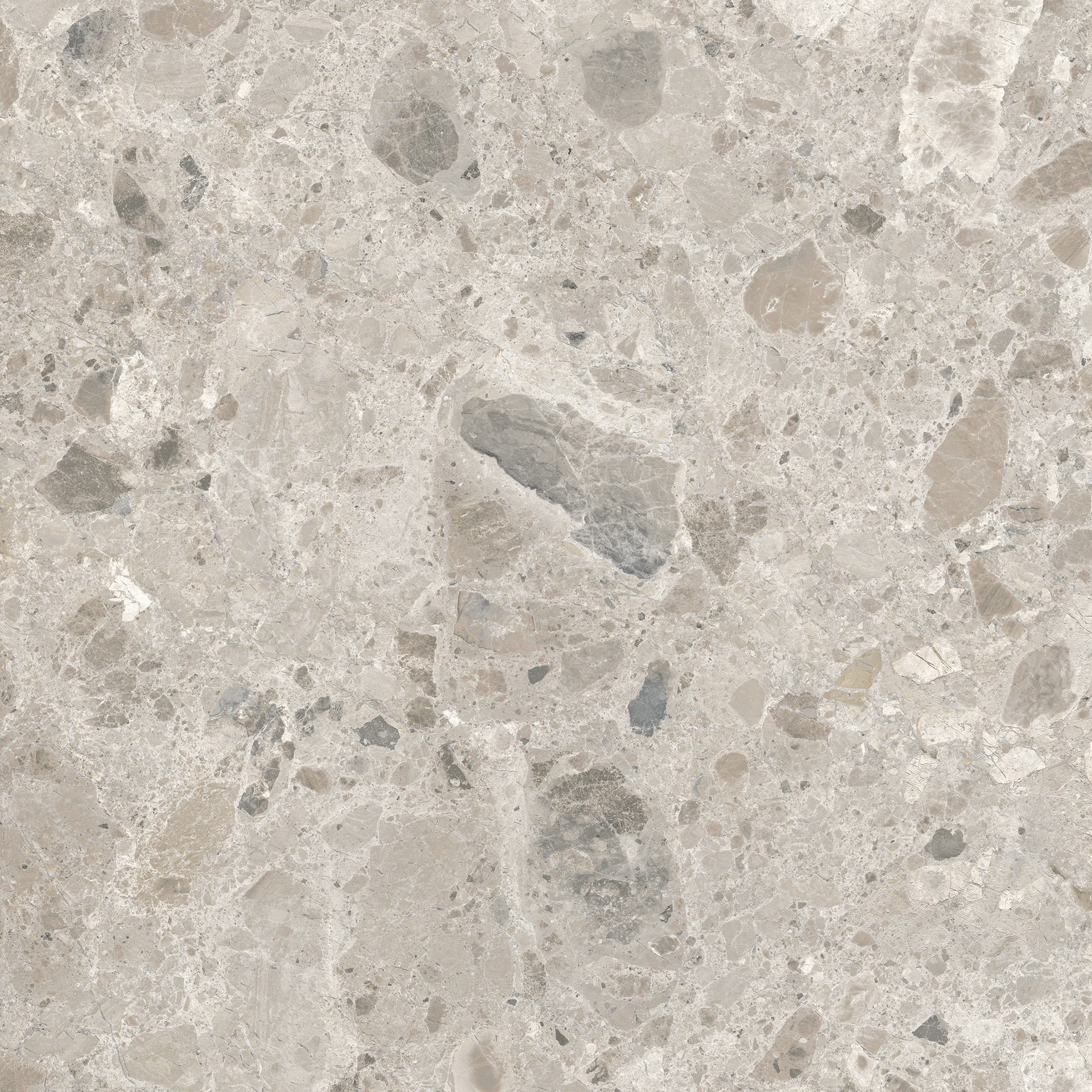 Caracter Mix Gris Rett.