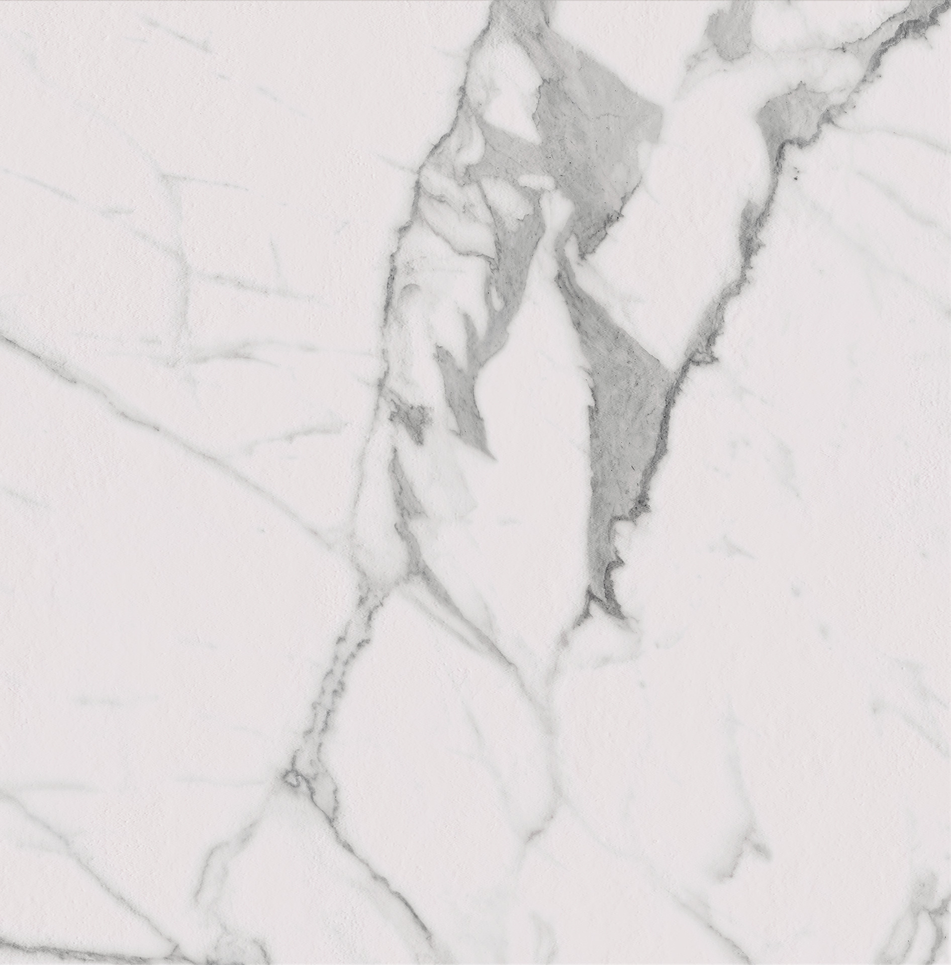 Fabula Statuario Rett.