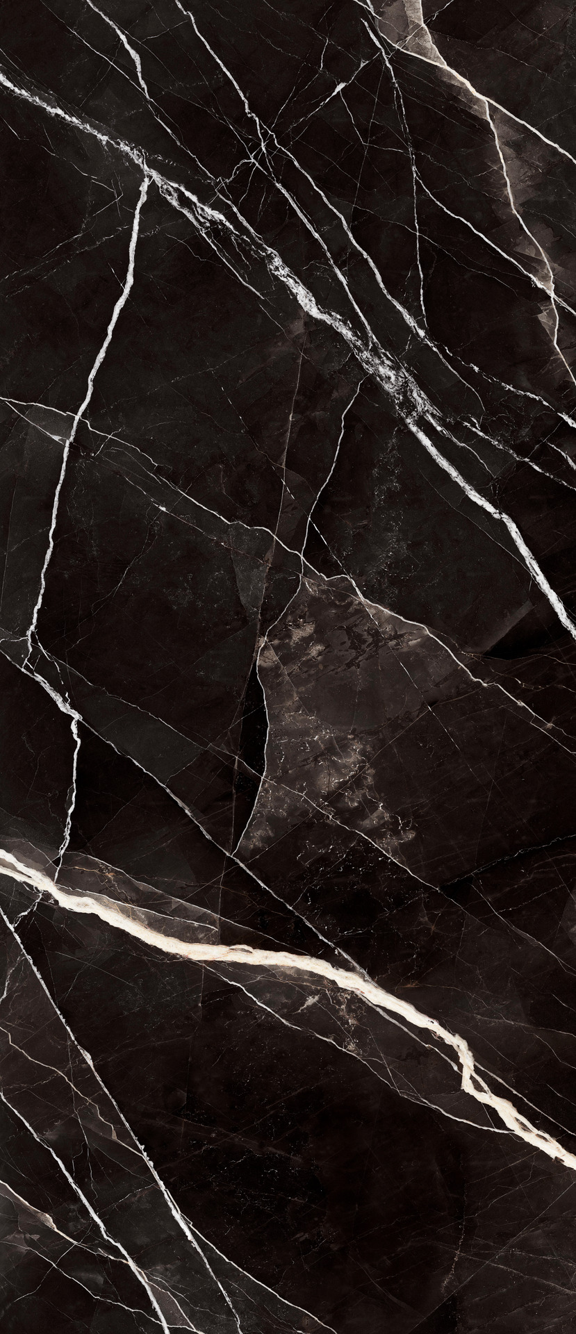 Grande Marble Look Calacatta Black Rett.
