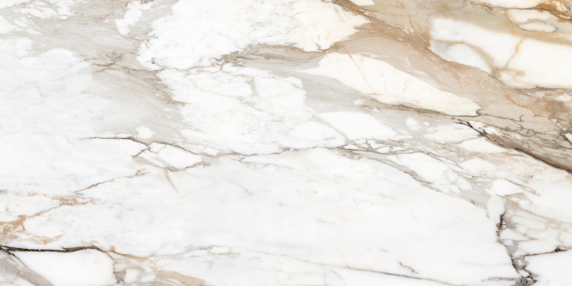 Allmarble Calacatta Vena Vecchia Rett.