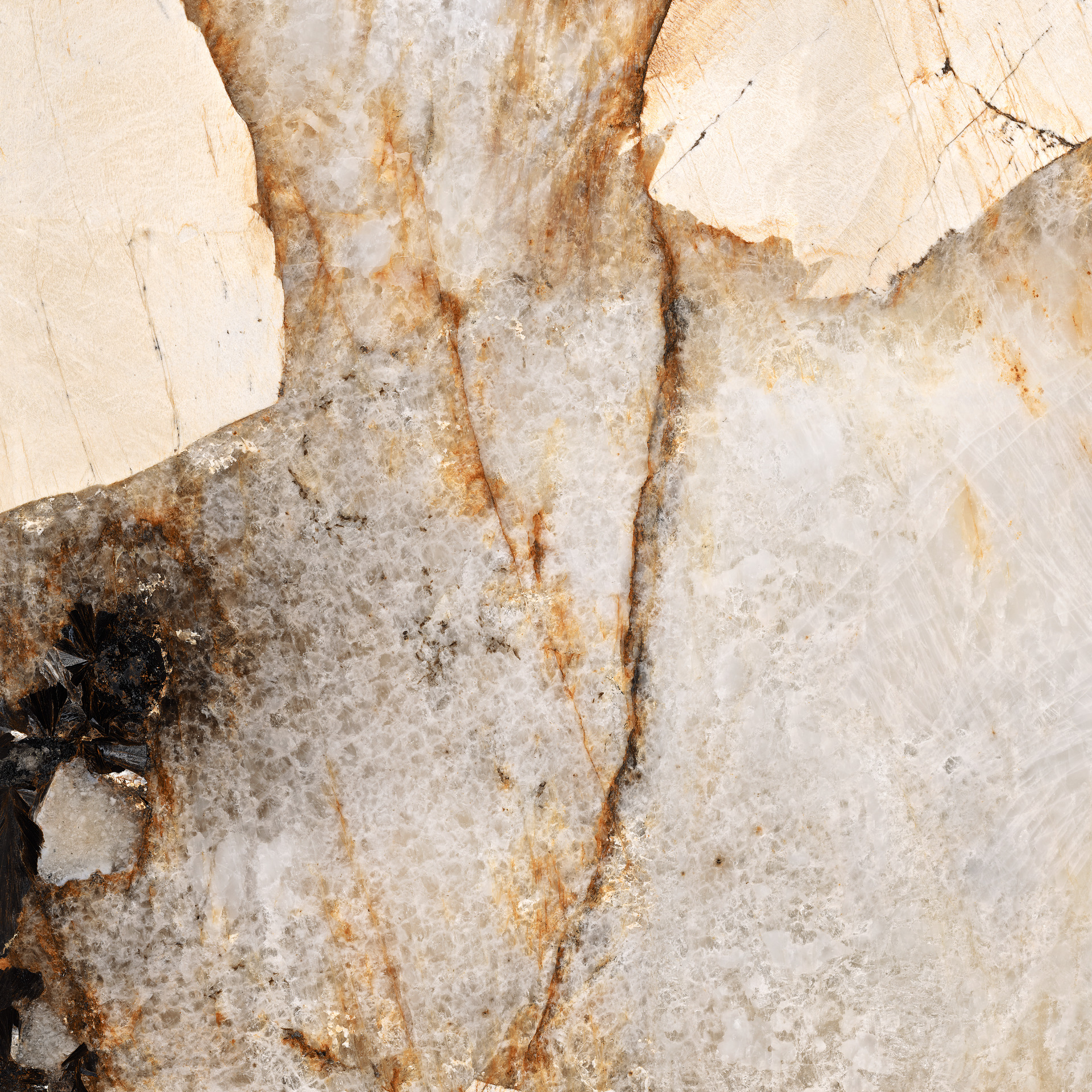 Grande Marble Look Patagonia Lux Rettificato