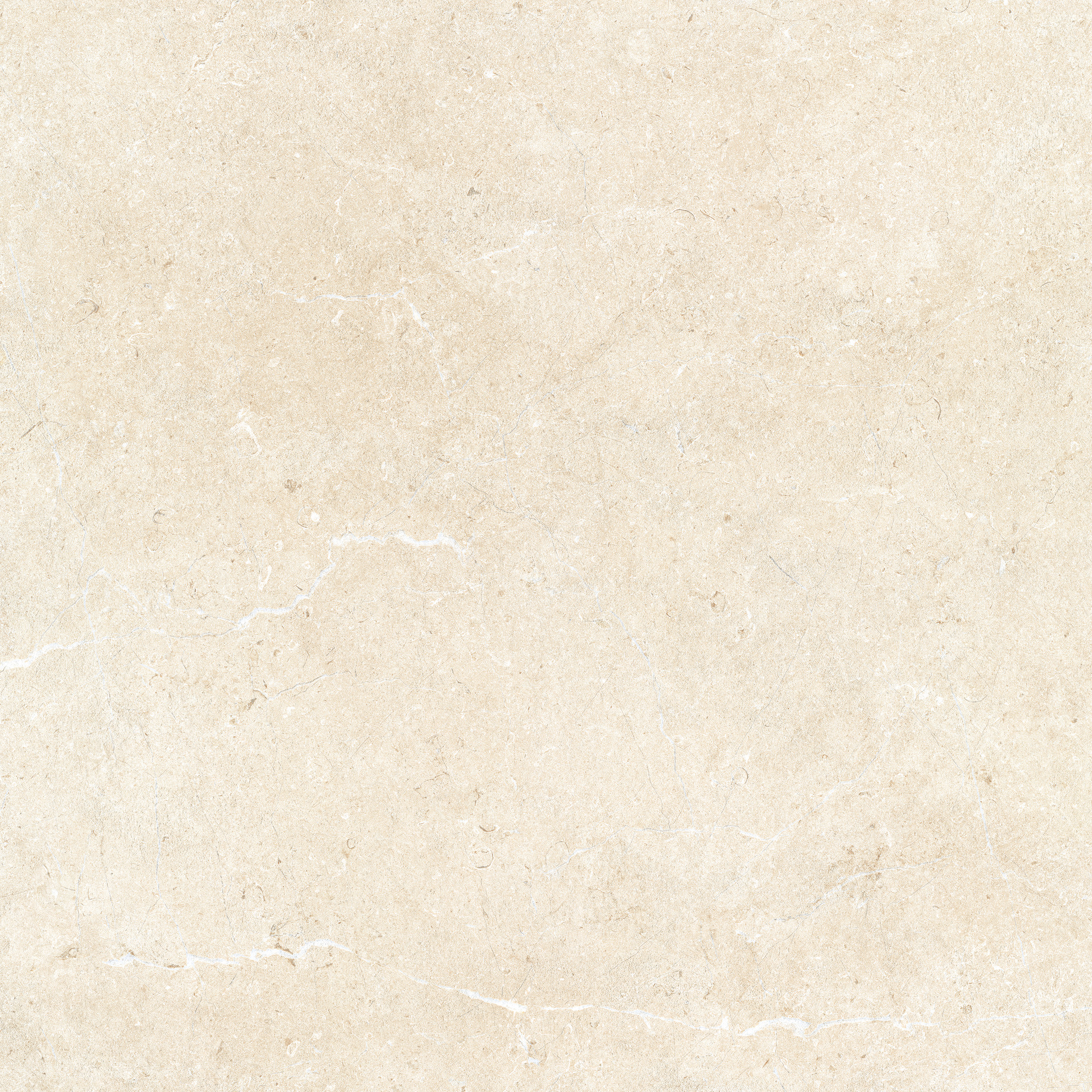 Limestone Ivory Rett.