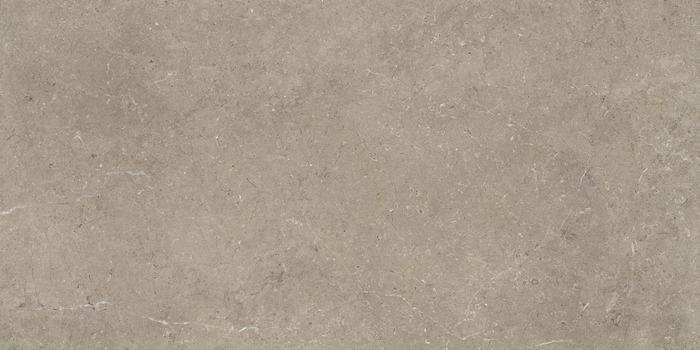 Limestone Taupe Rett.