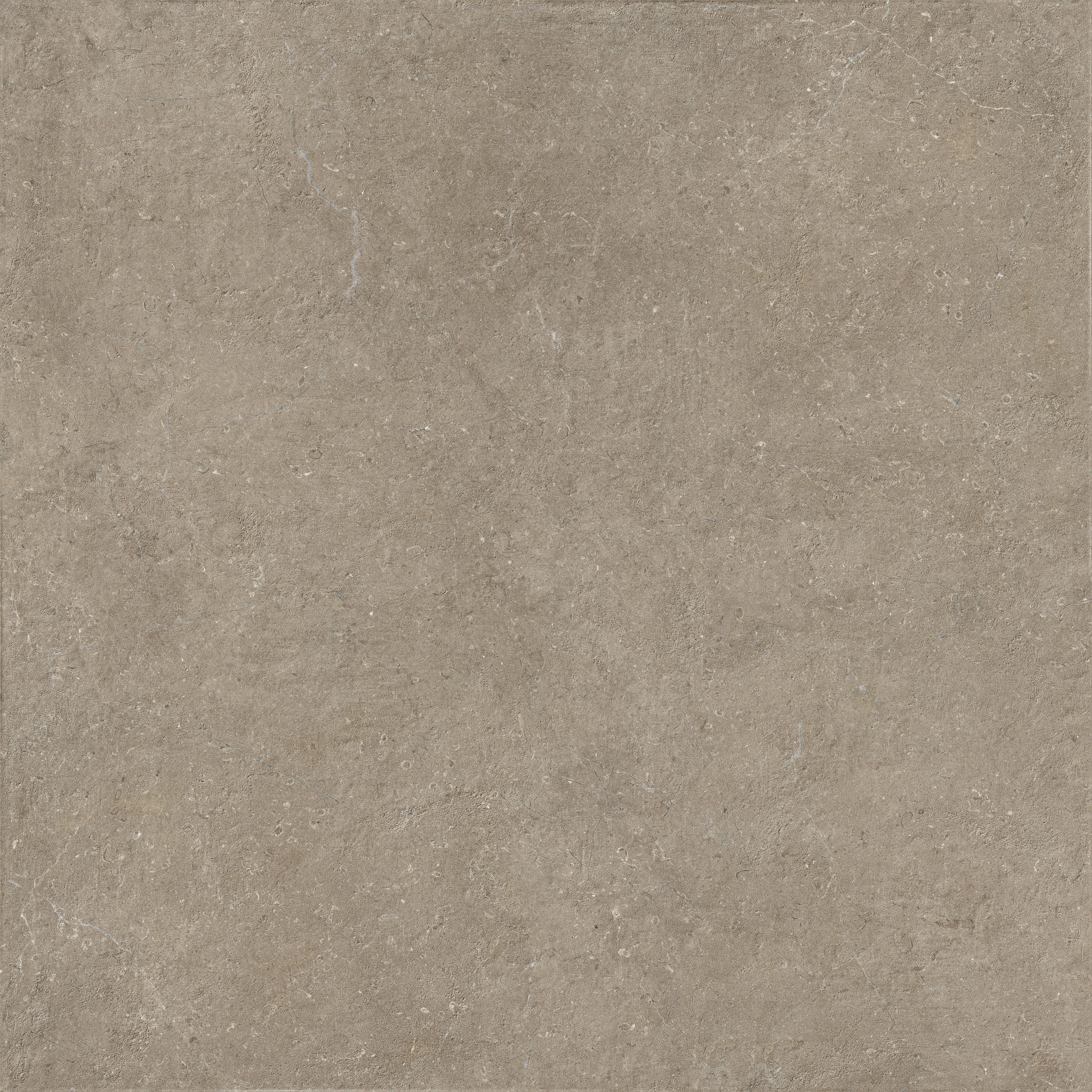 Limestone Taupe Str