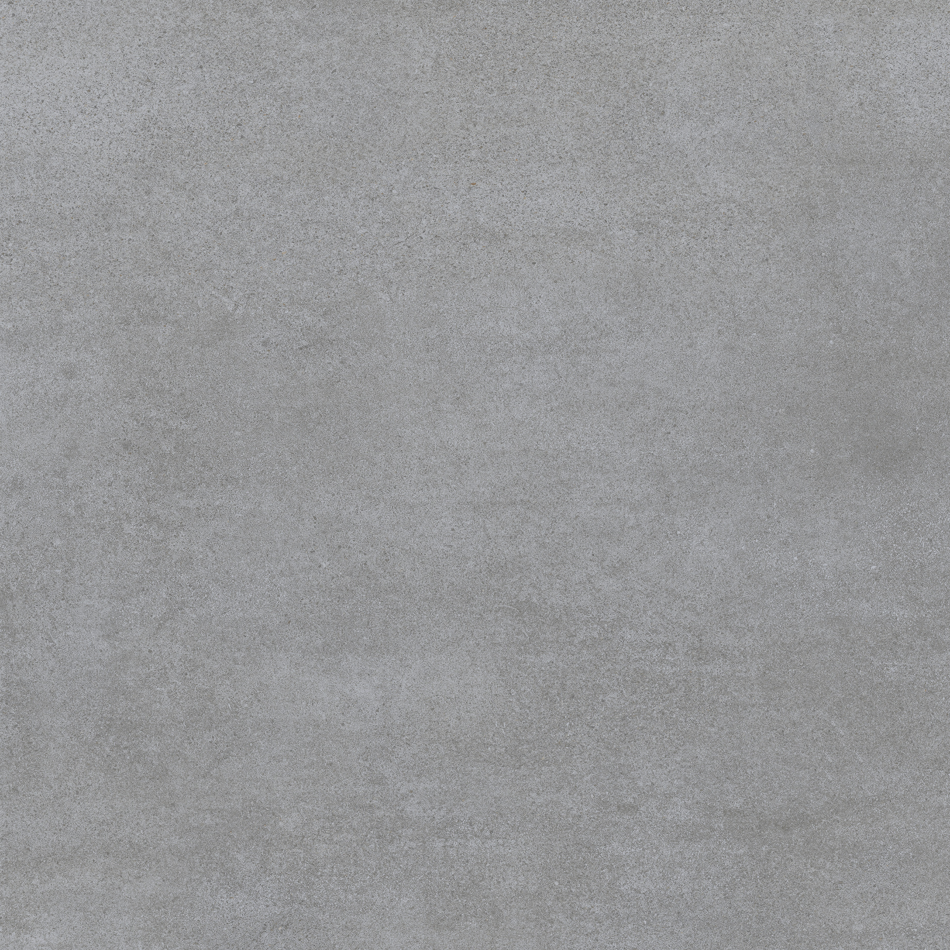 Misty Grey Rett.