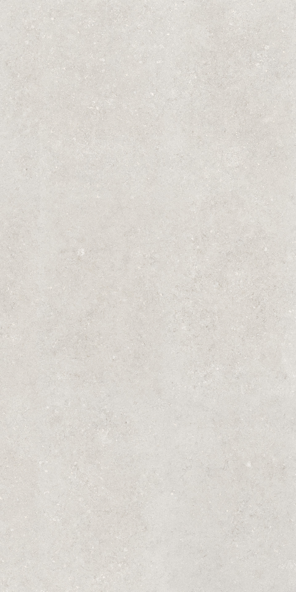 Grande Stone Look Berici Grigio Fiammato Puro 12mm