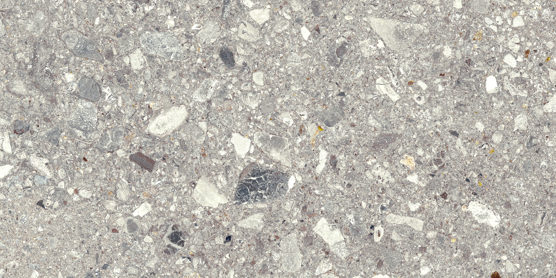Mystone Ceppo Di Gre Grey Rettificato