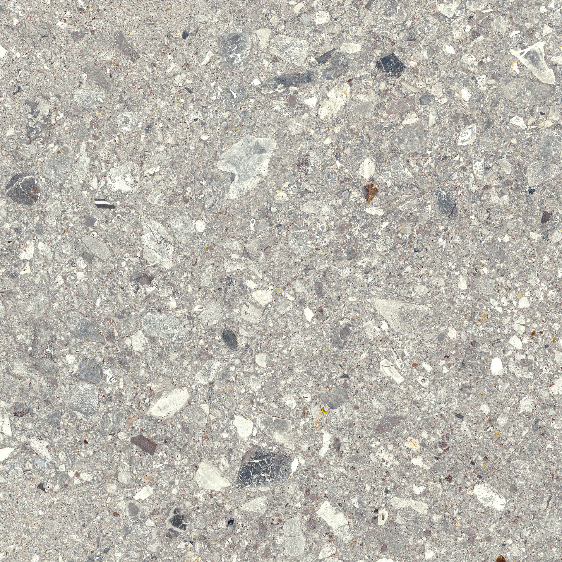 Mystone Ceppo Di Gre Grey Rettificato