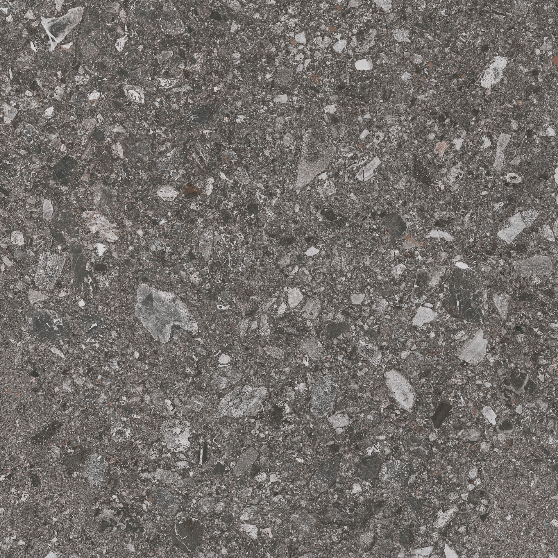 Mystone Ceppo Di Gre Anthracite Rettificato