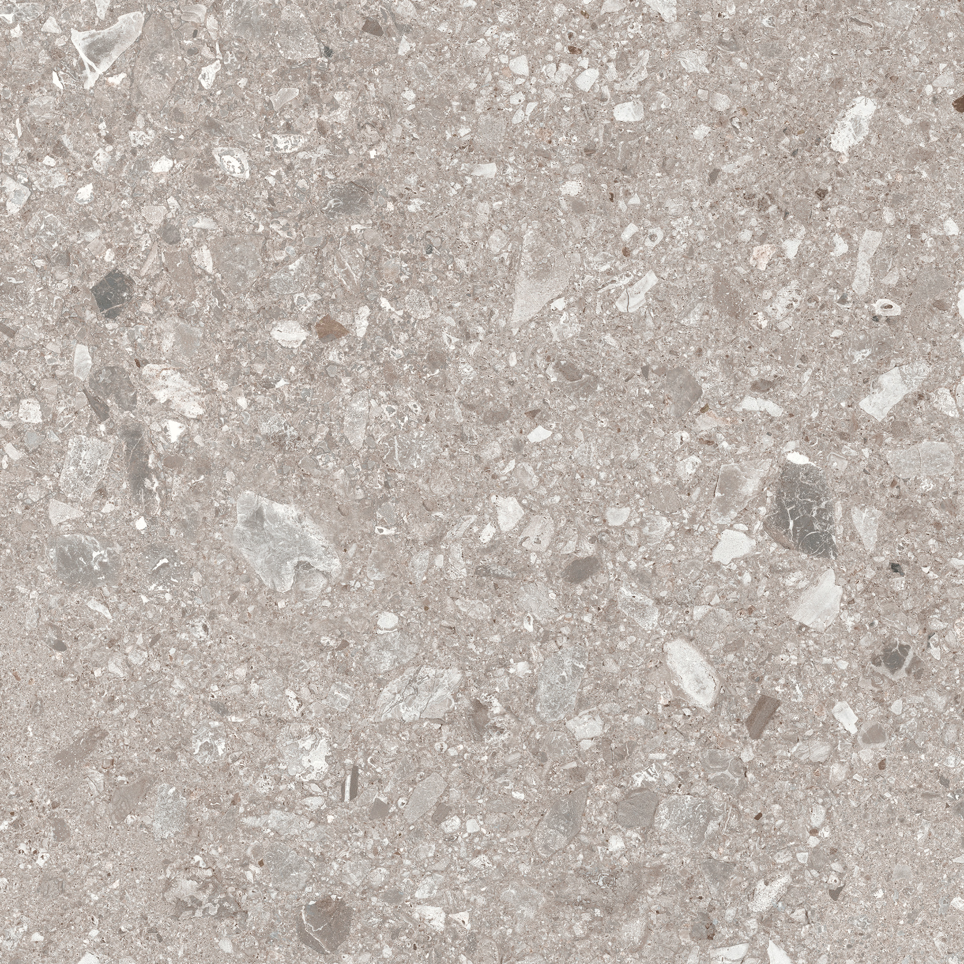 Mystone Ceppo Di Gre Greige Rettificato