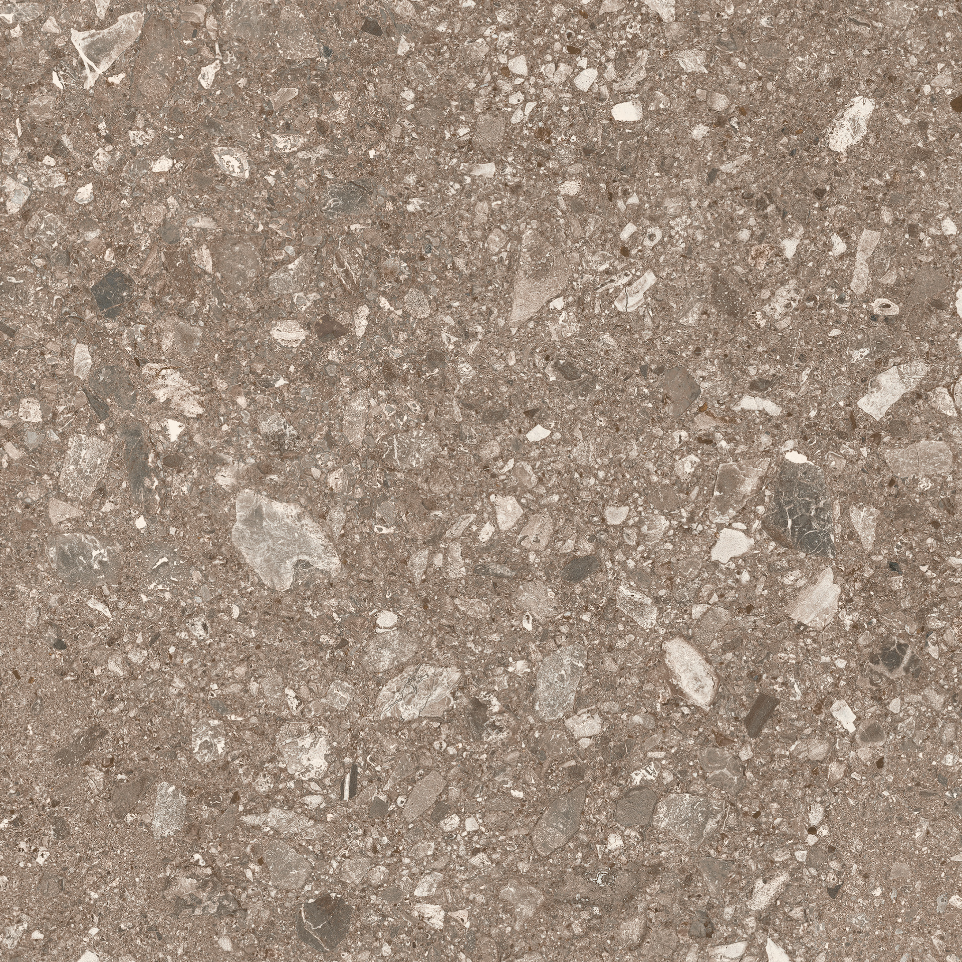 Mystone Ceppo Di Gre Beige Rettificato