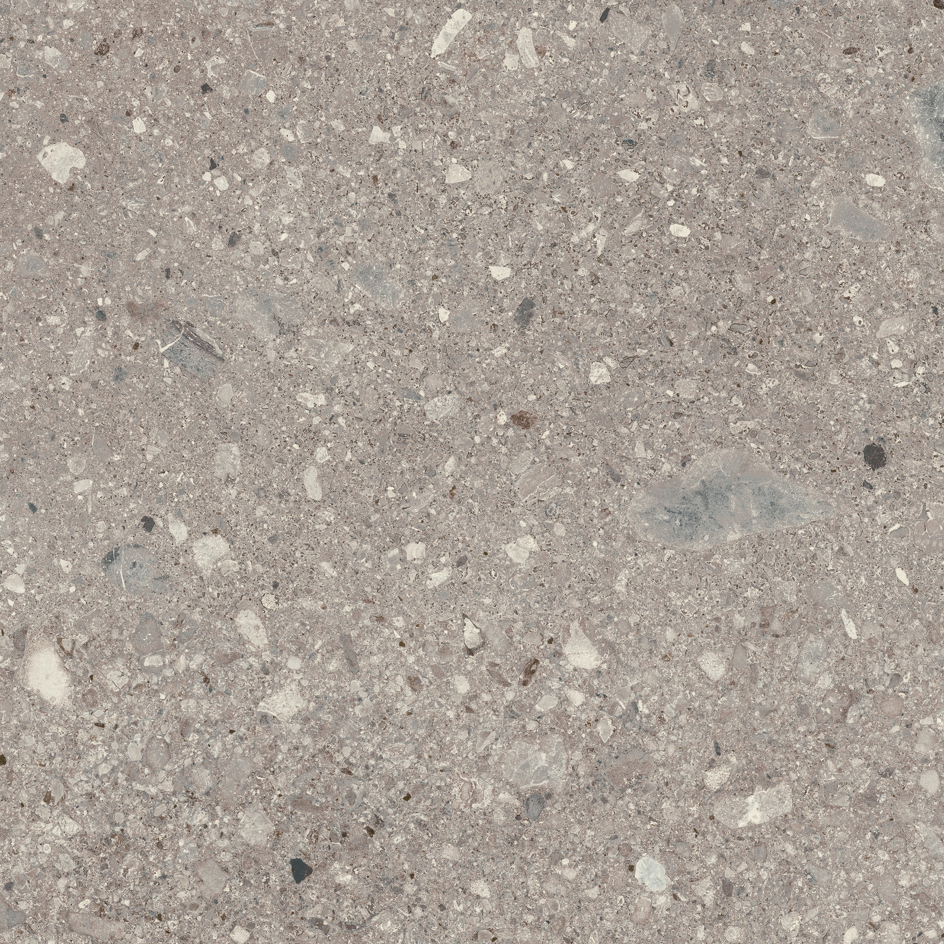 Mystone Ceppo Di Gre Grey Rettificato