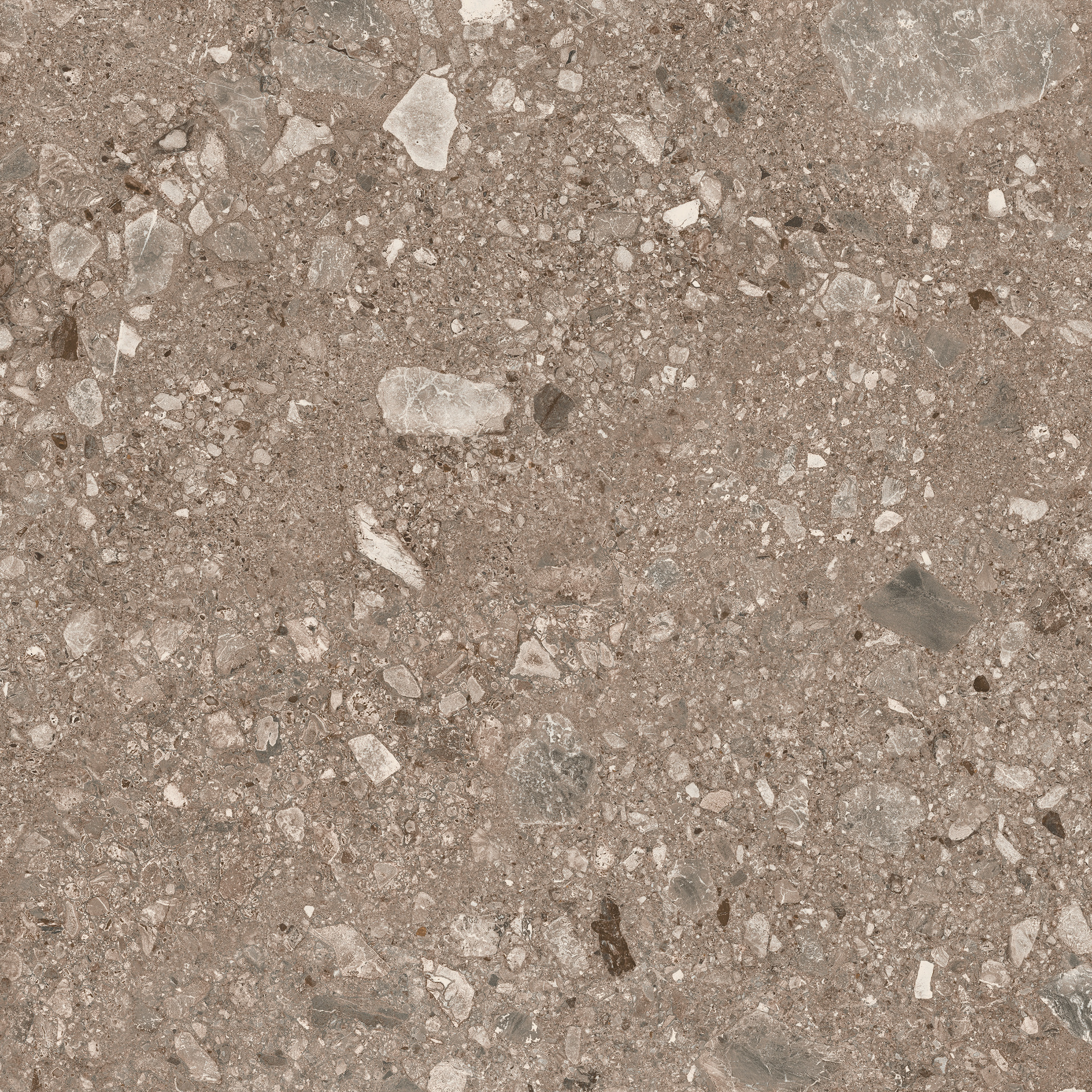 Mystone Ceppo Di Gre Beige Rettificato