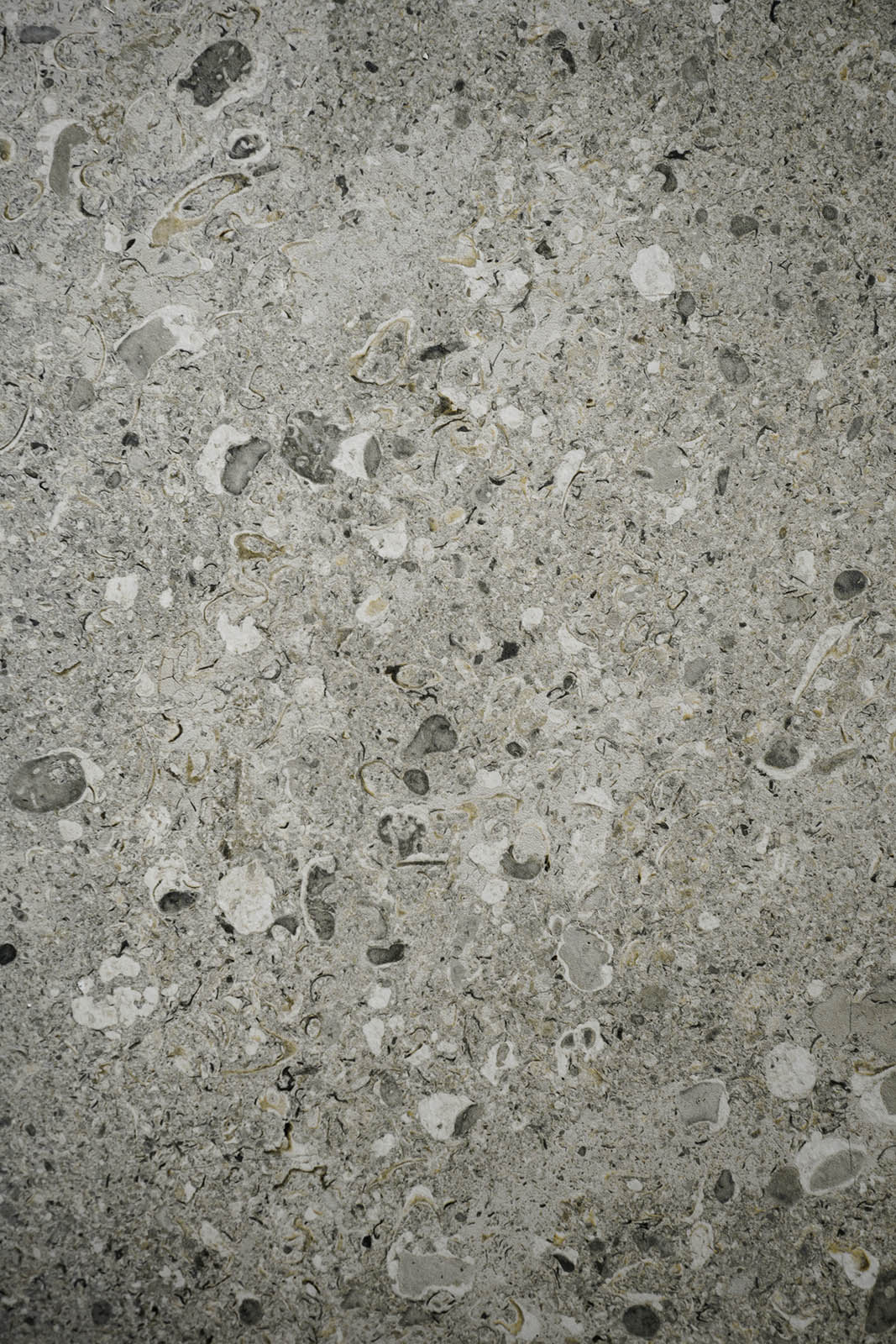 Mystone Gris Fleury / интерьер