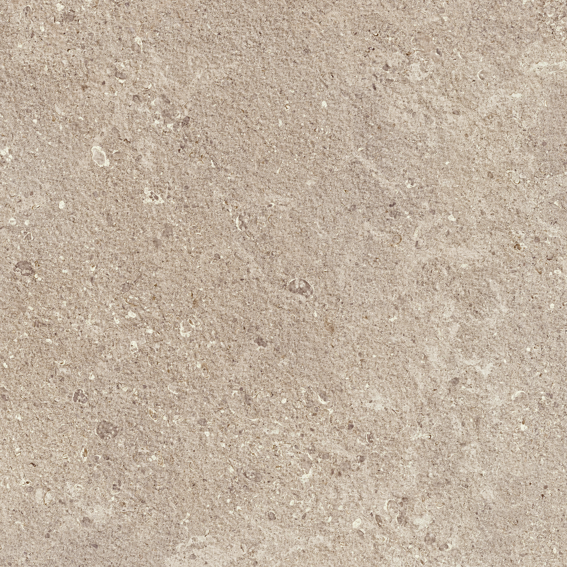 Gris Fleury 20 Beige Rett.