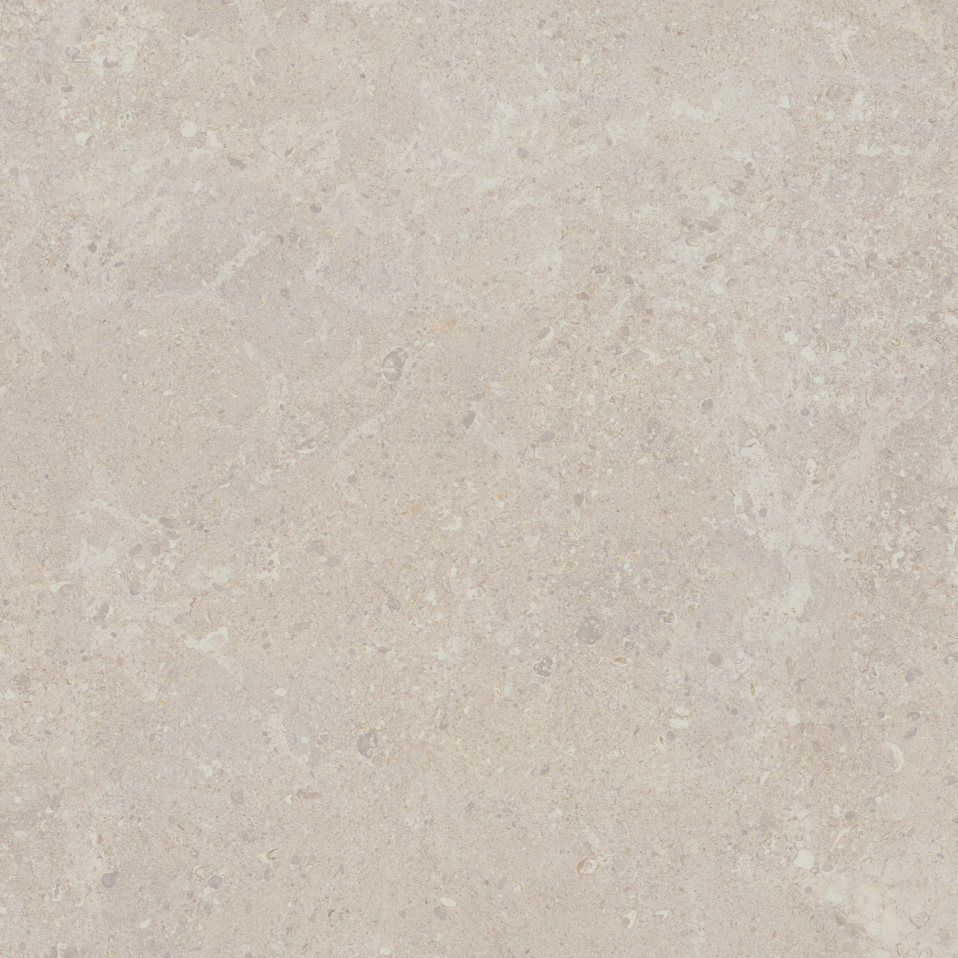 Gris Fleury Bianco Rett.