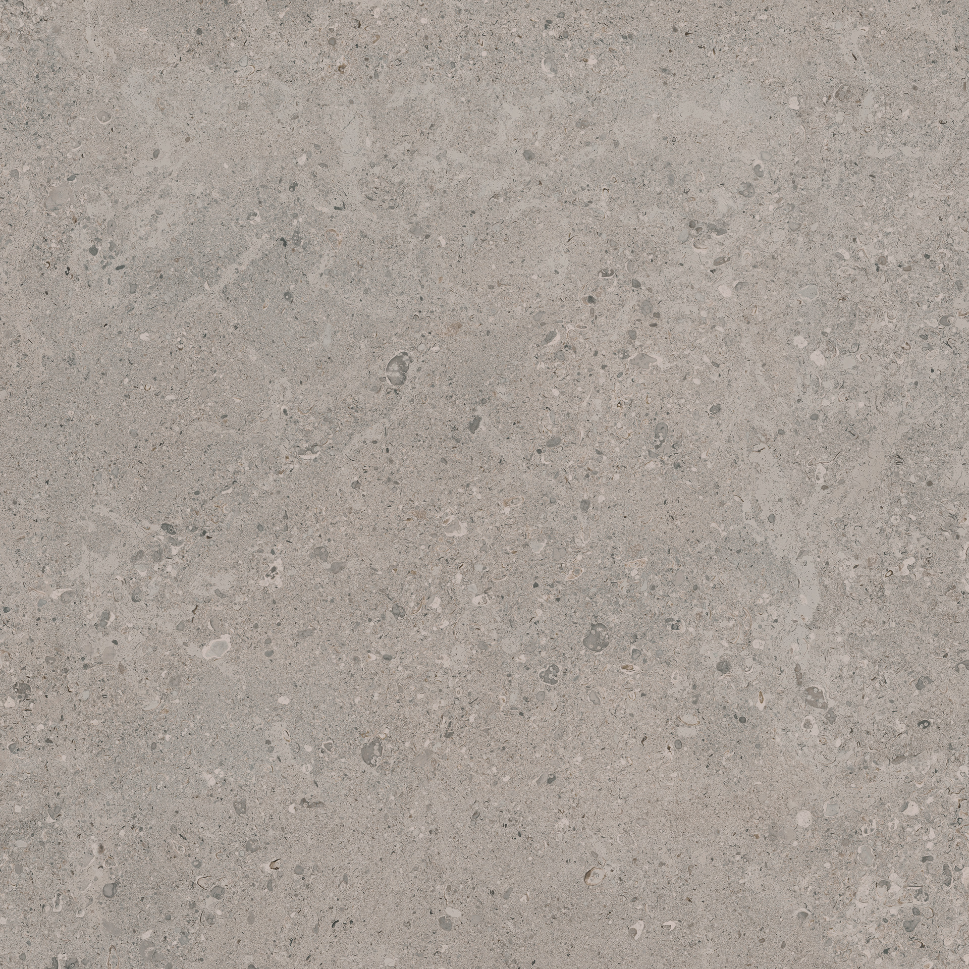 Gris Fleury Taupe Rett.