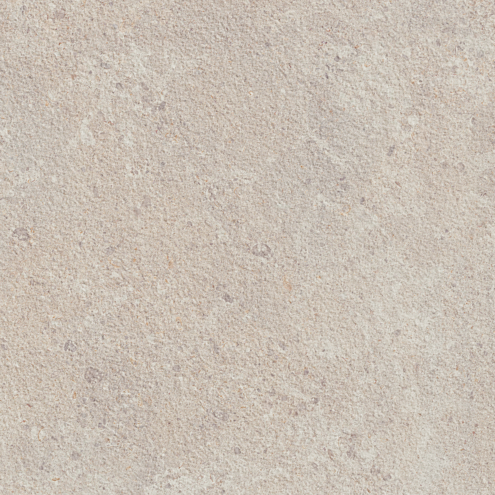 Gris Fleury 20 Bianco Rett.