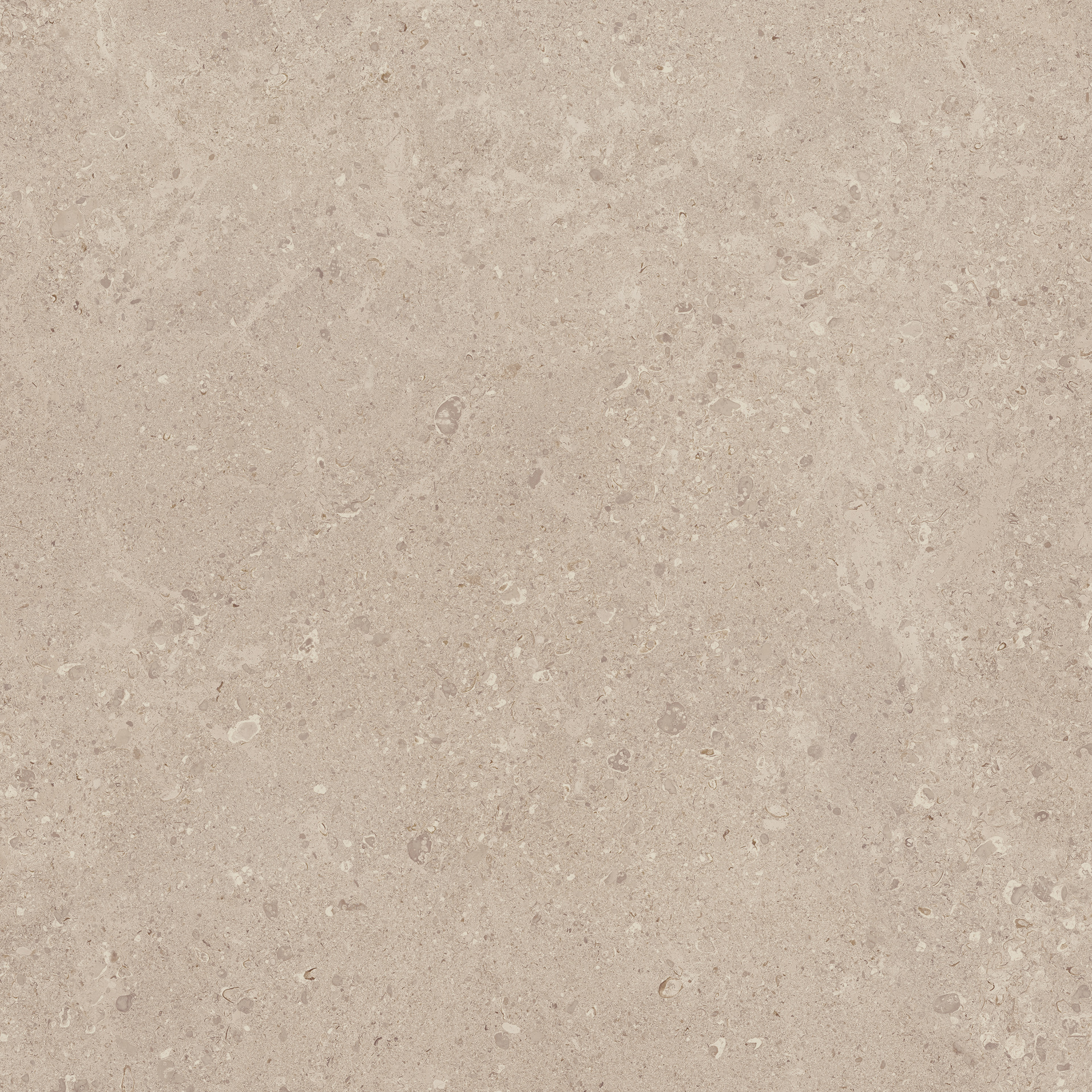 Gris Fleury Beige Rett.