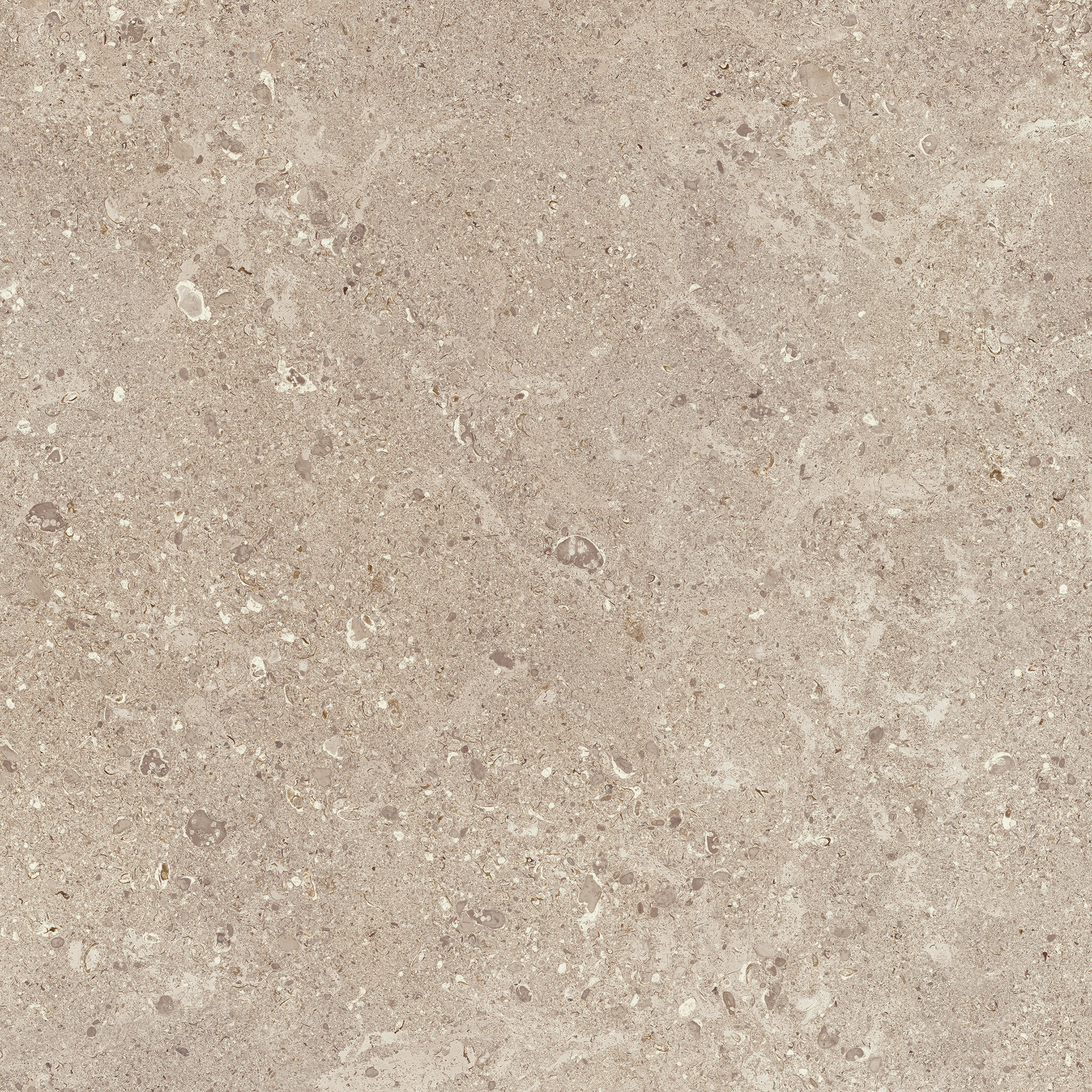 Gris Fleury Beige Rett.