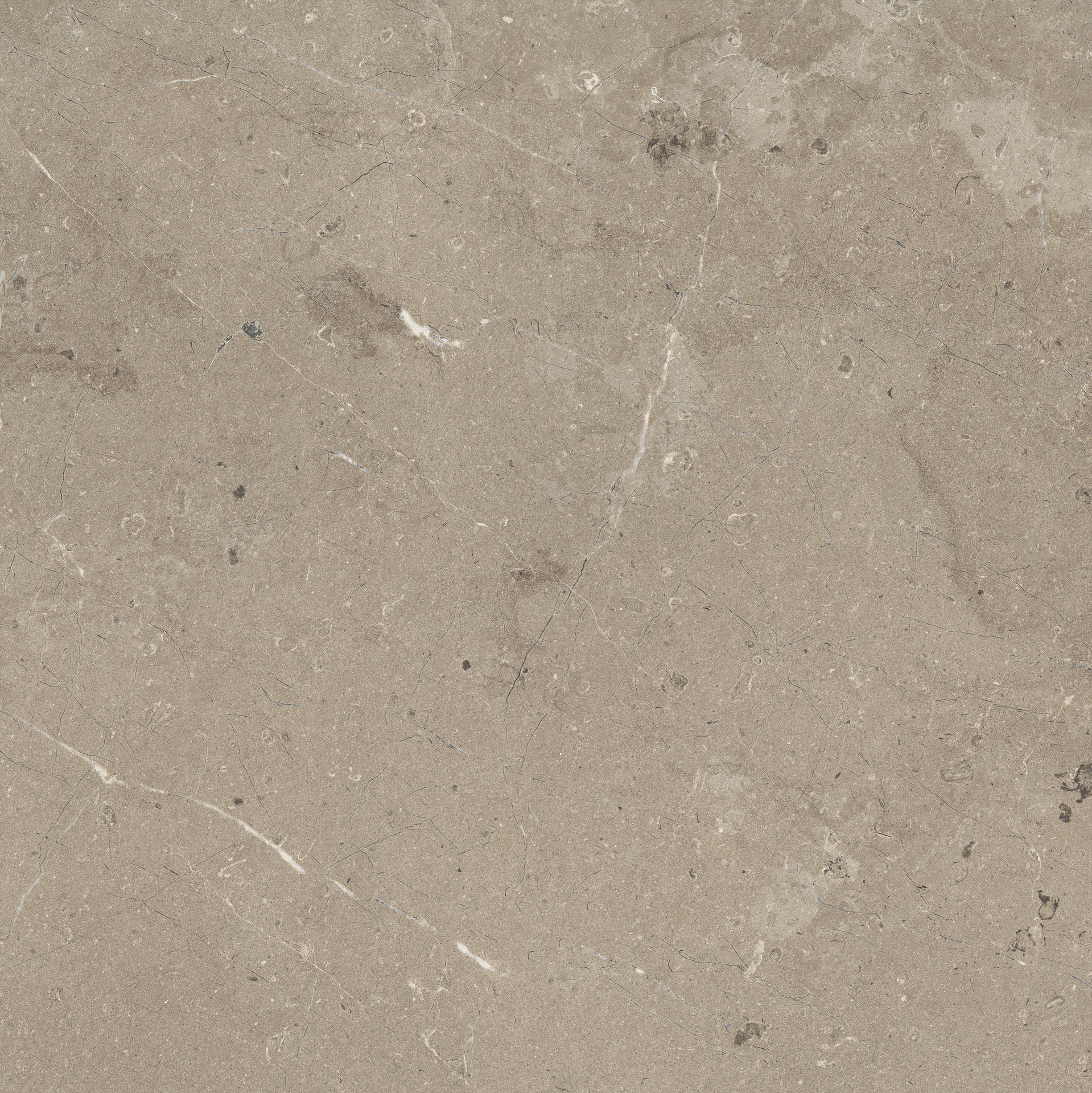Limestone Taupe Rett.