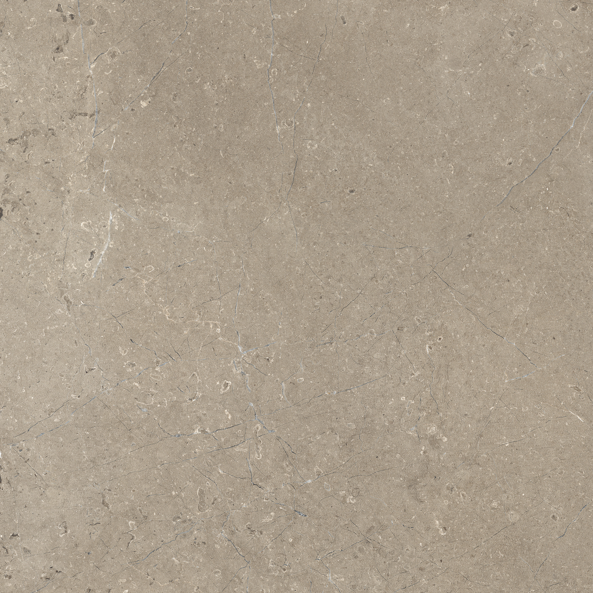 Limestone Taupe Velvet