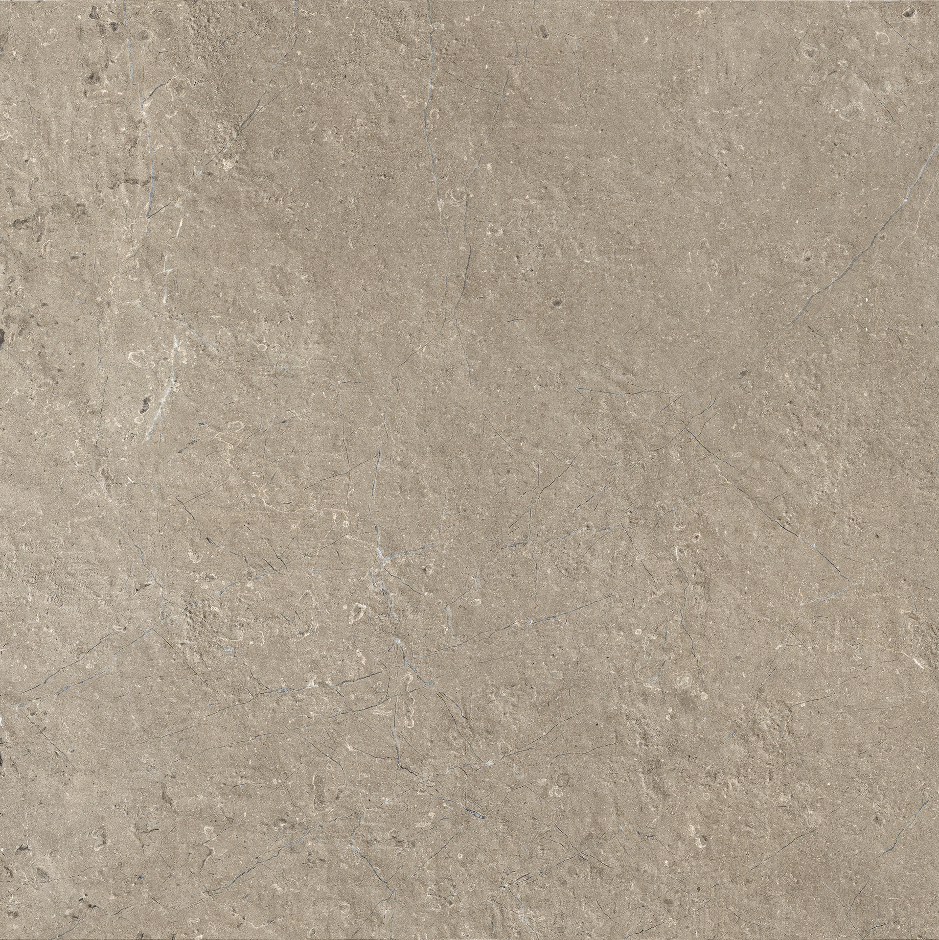Mystone Limestone20 Taupe Strutturato Rettificato