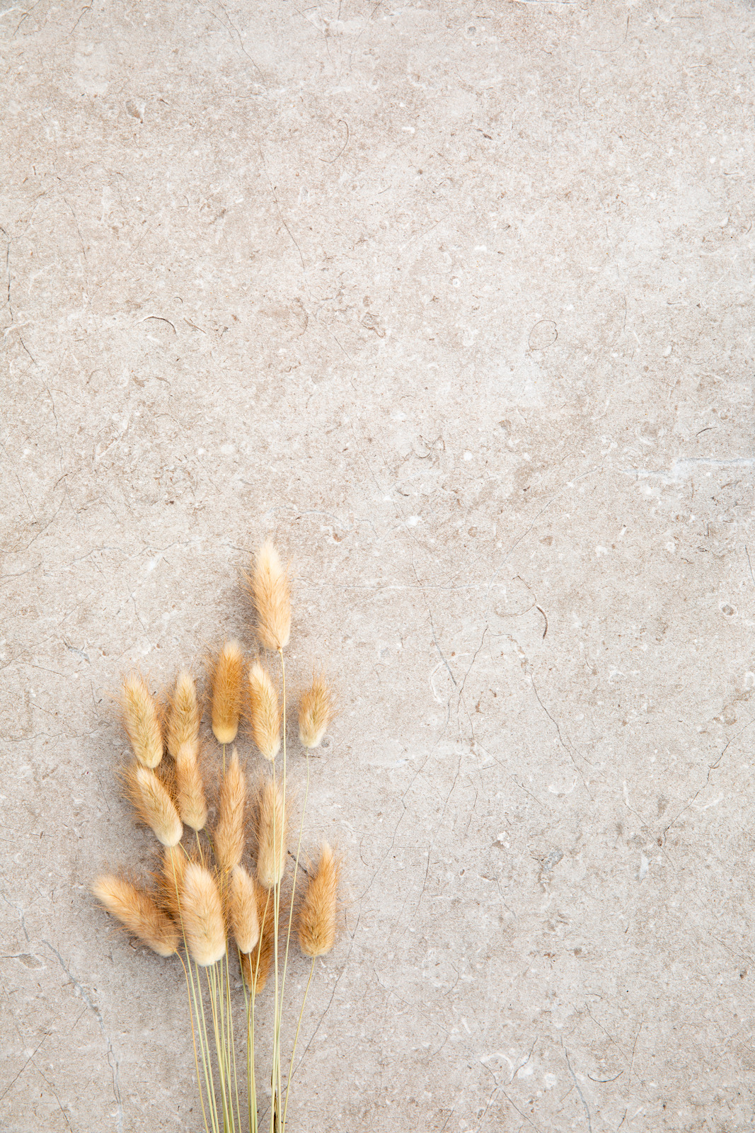 Mystone Limestone20 / интерьер