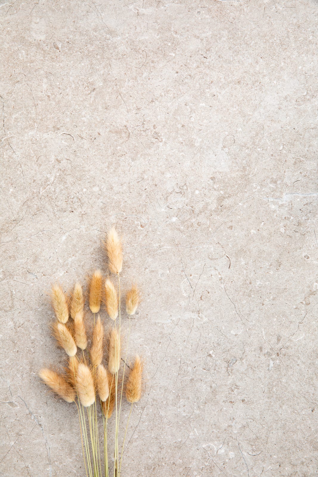 Mystone Limestone20 в интерьере