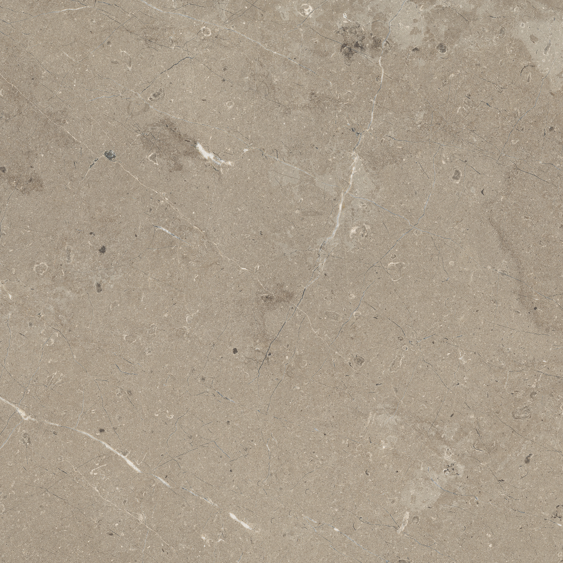 Limestone Taupe Rett.