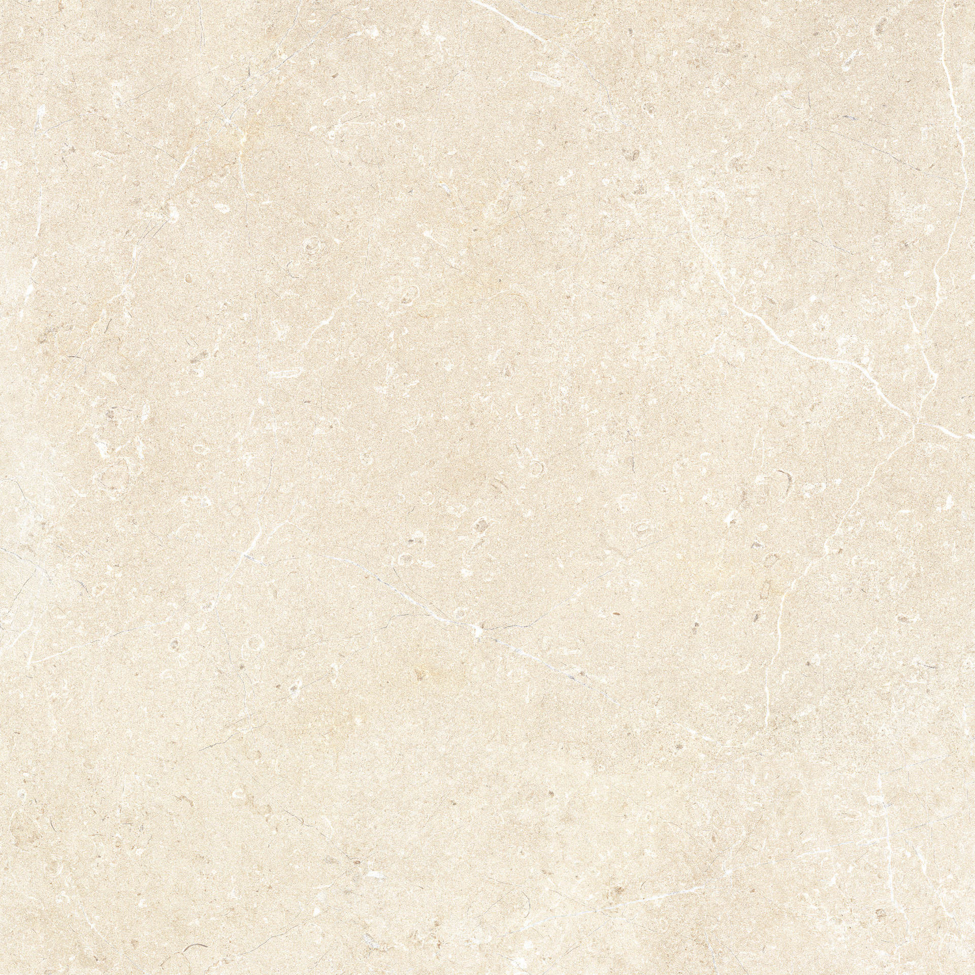 Limestone Ivory Rett.