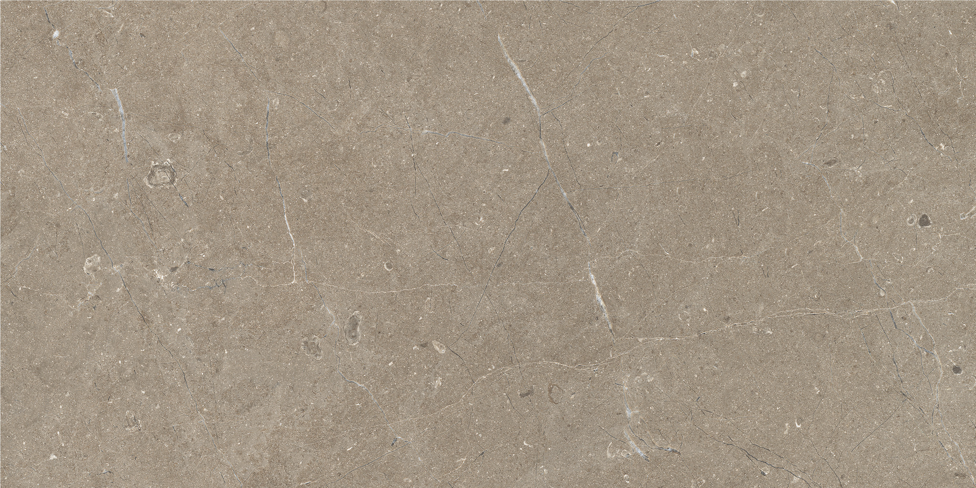 Limestone Taupe Rett.