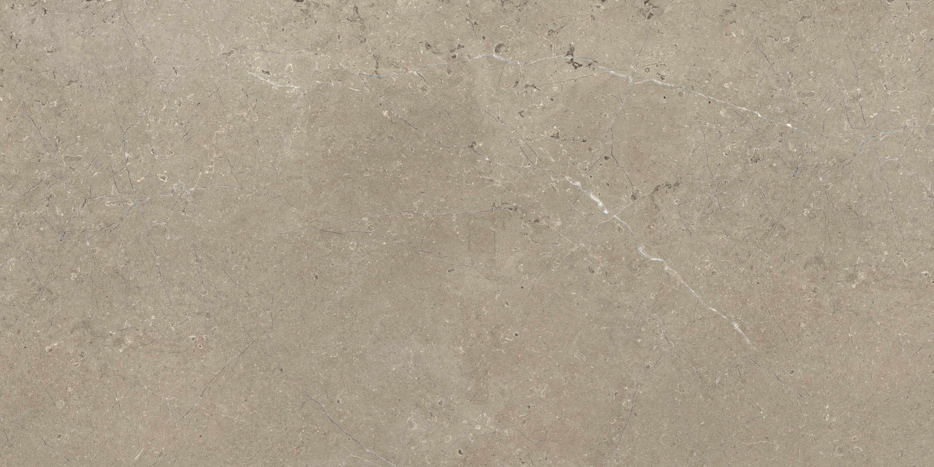 Limestone Taupe Velvet