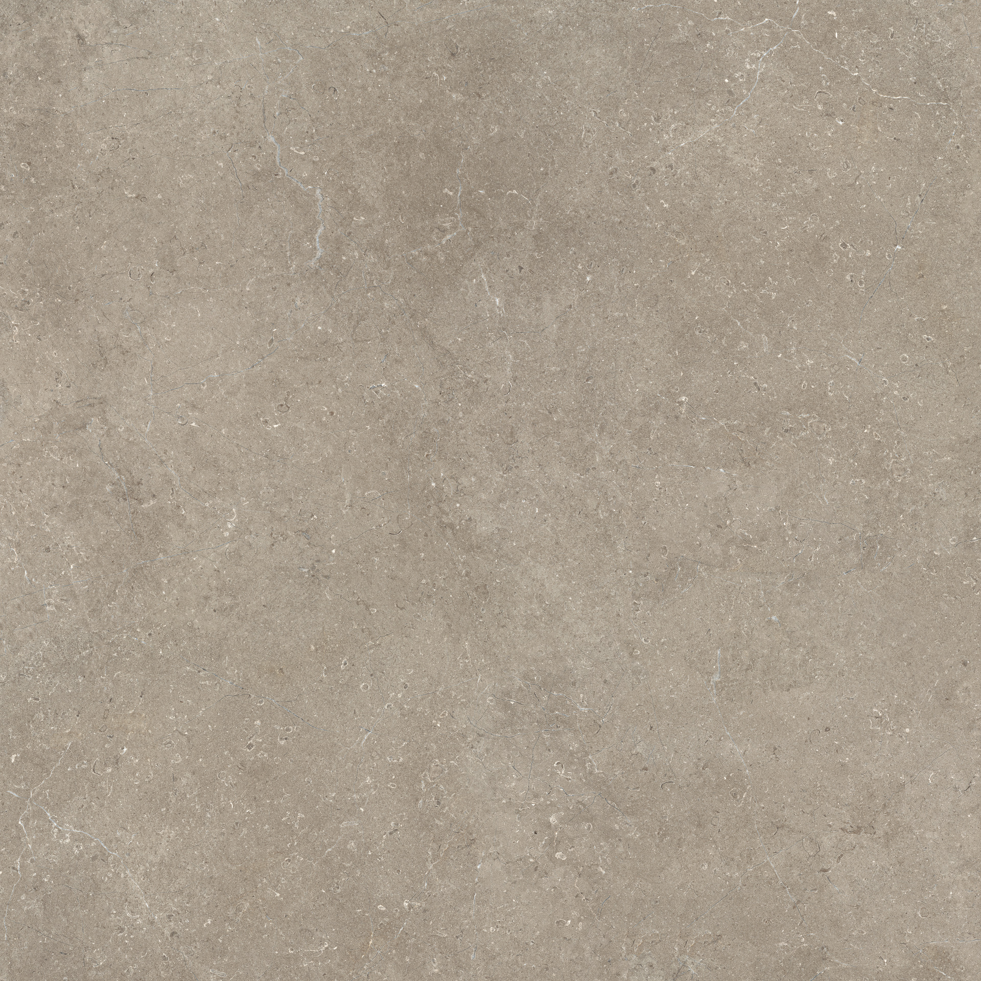 Limestone Taupe Rett.