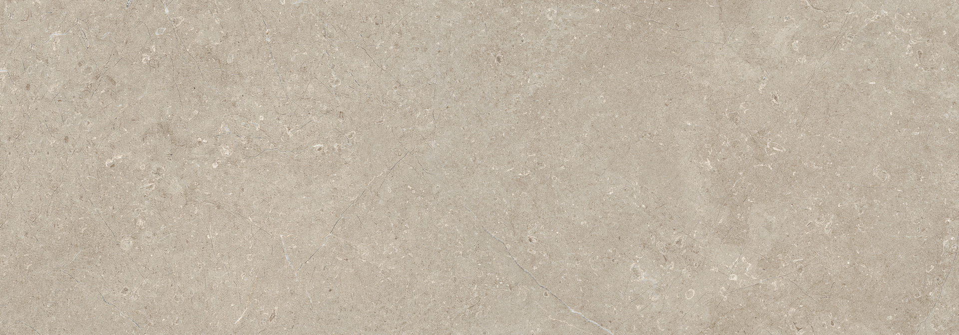 Limestone Wall Taupe Rett.