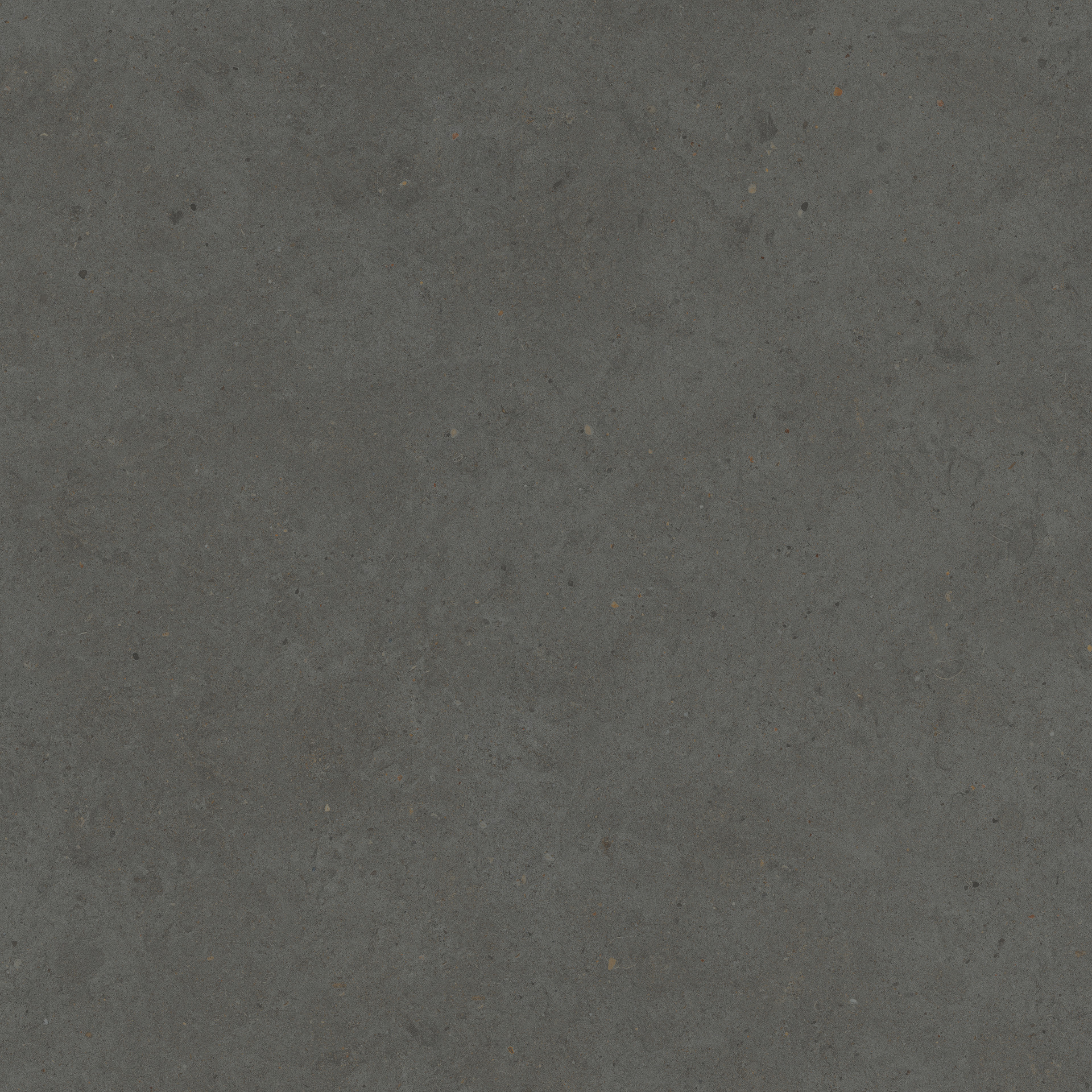 Moon Anthracite Rett.