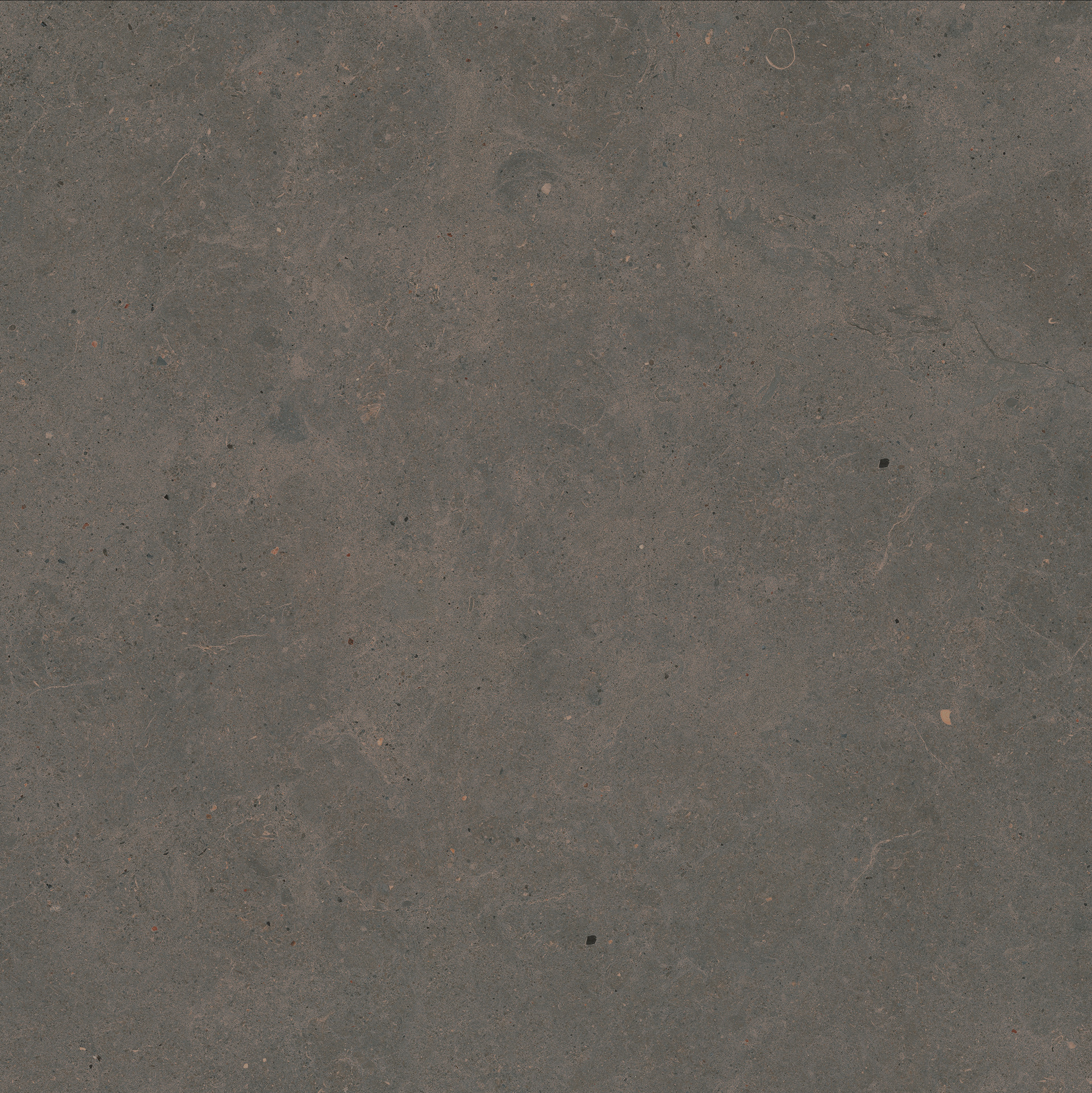 Moon Anthracite Rett.