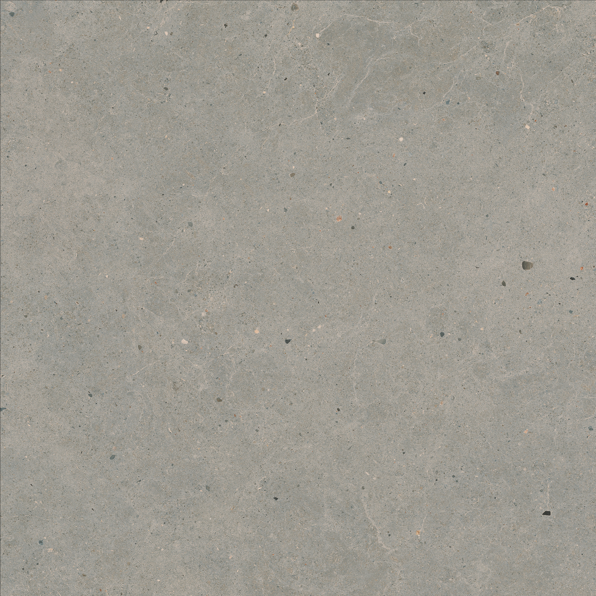 Moon Grey Rett.