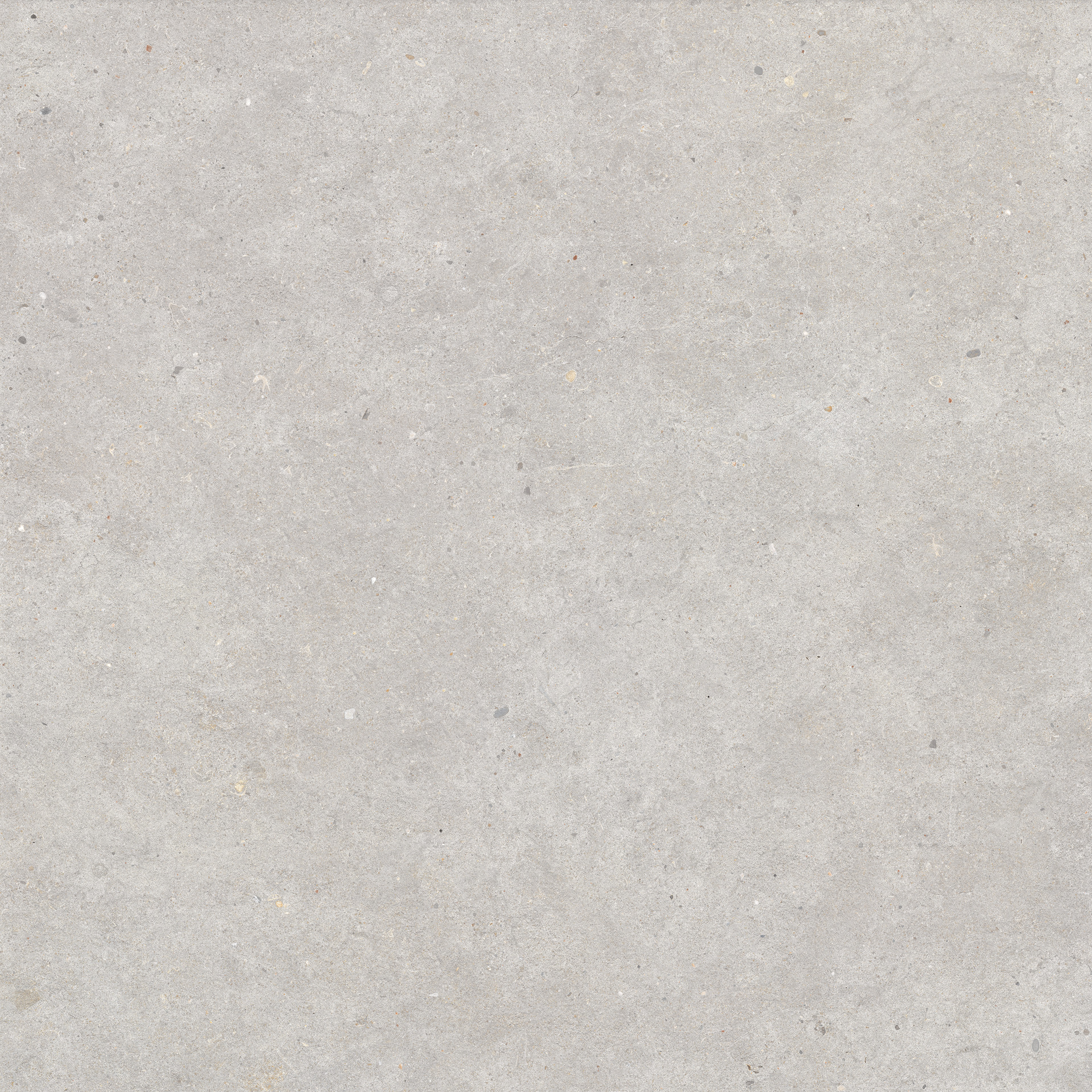 Moon White Rett.