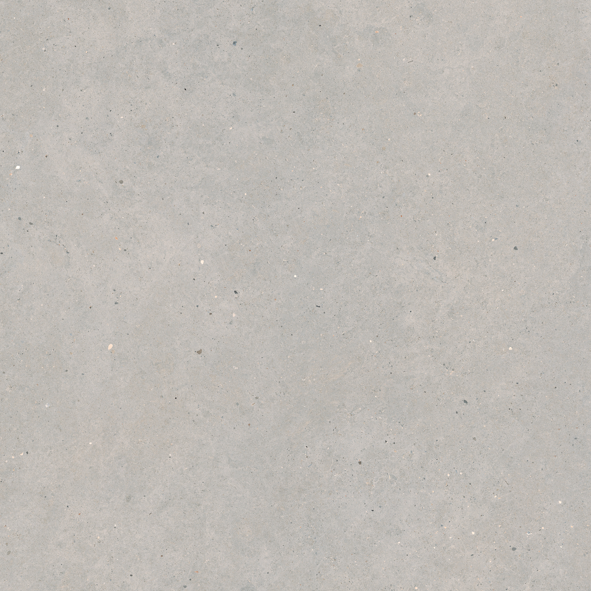 Moon White Rett.