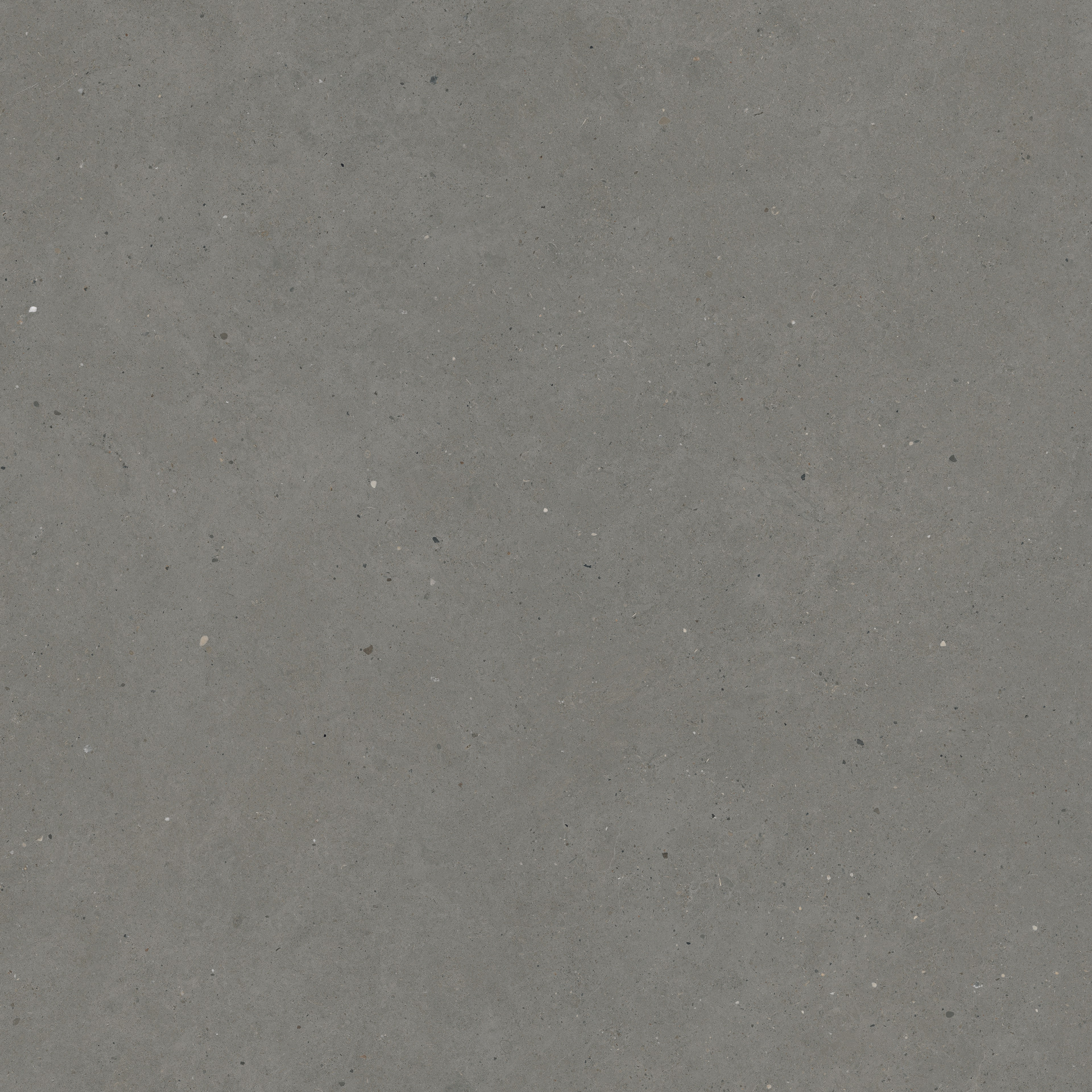 Moon Grey Rett.
