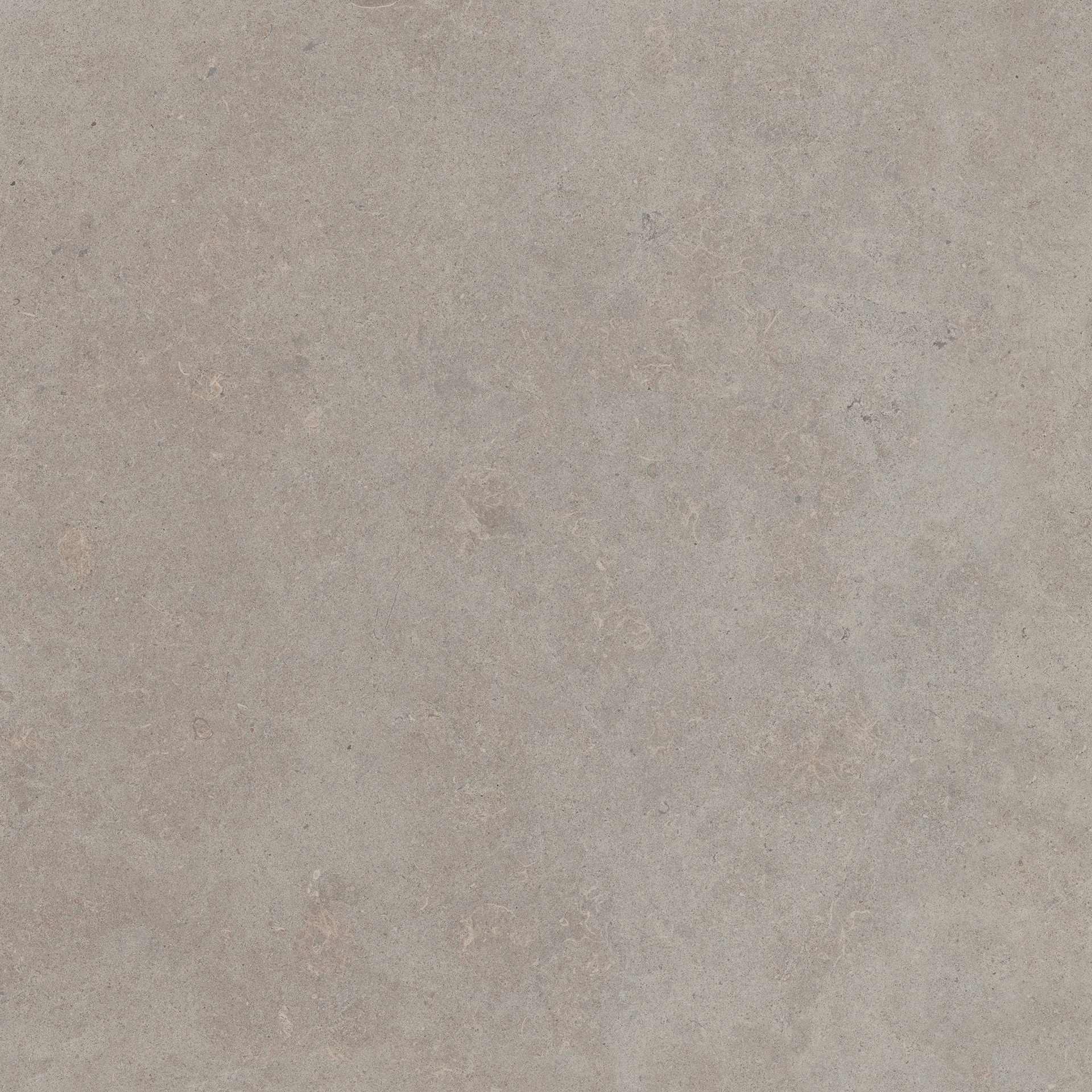 Silver Stone Grigio Rett.