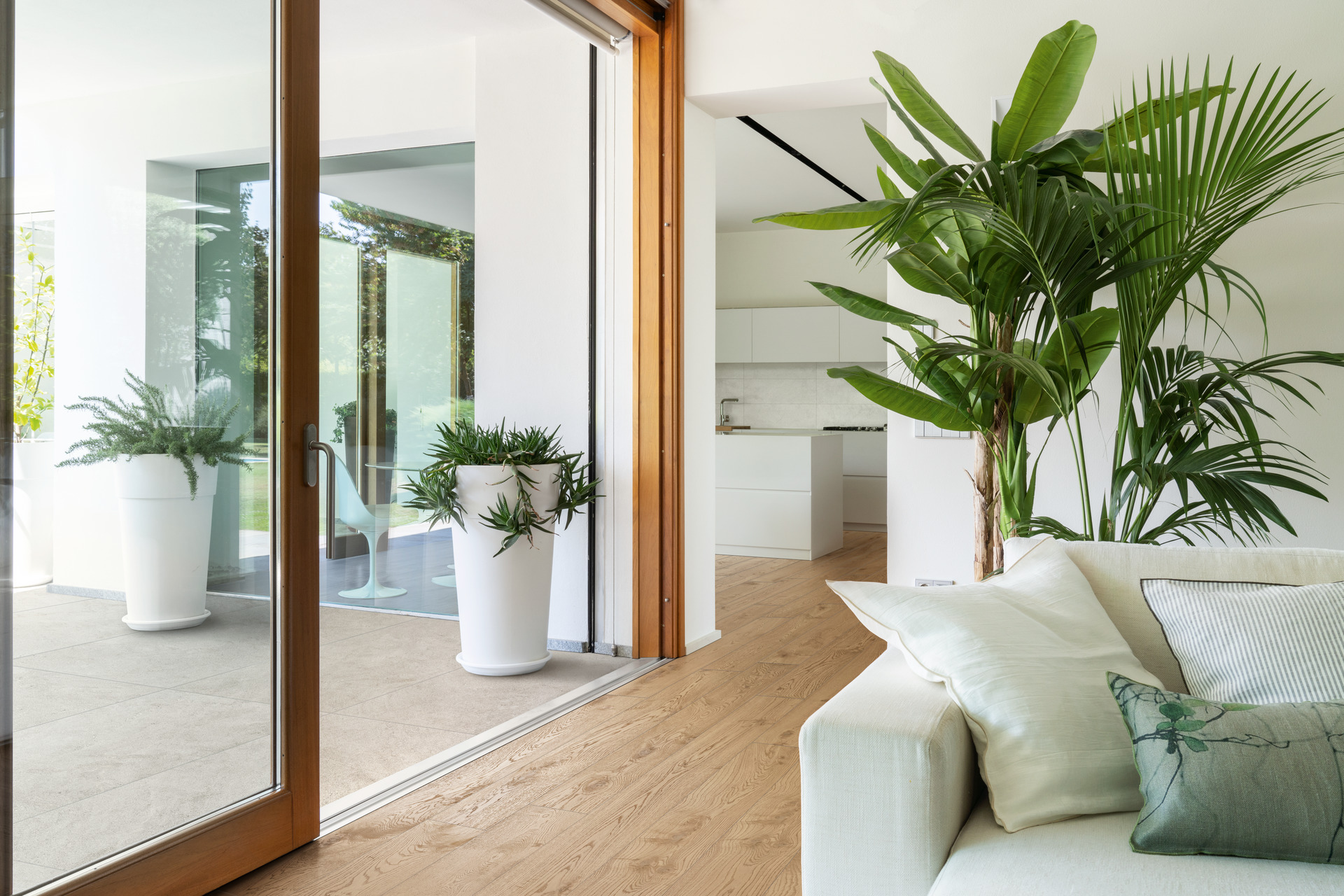 Naturalia / интерьер