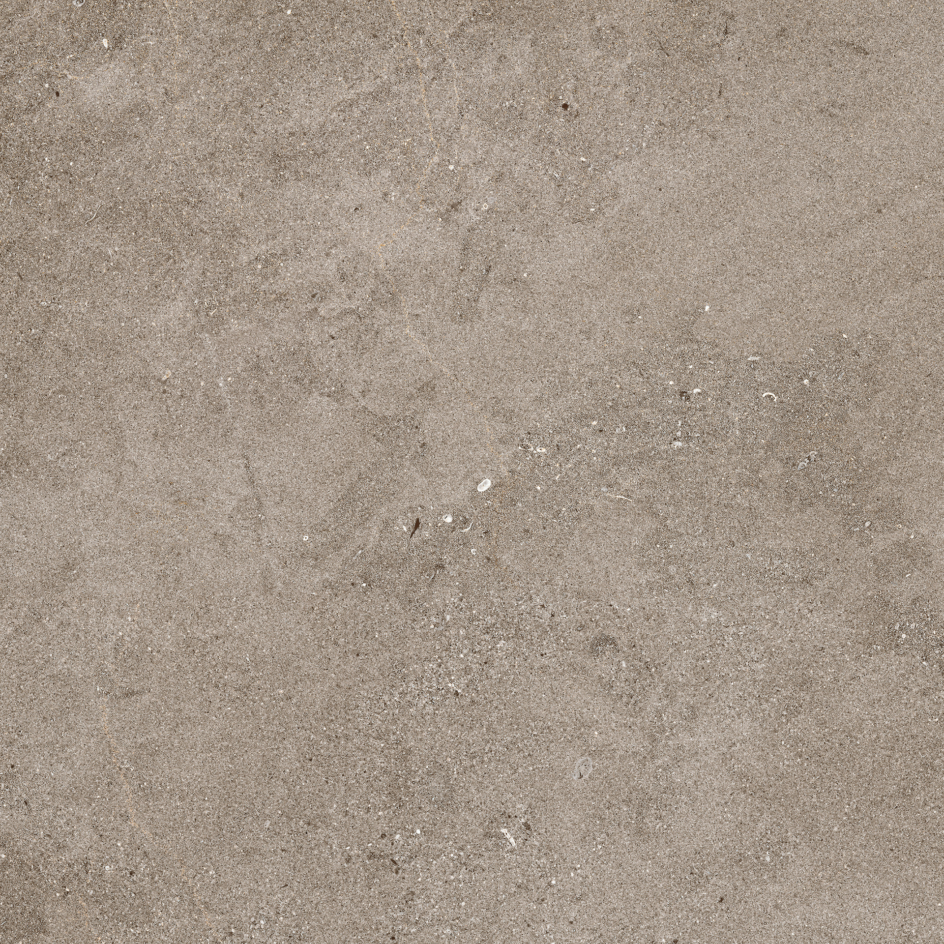 Naturalia Taupe C2 Rett.