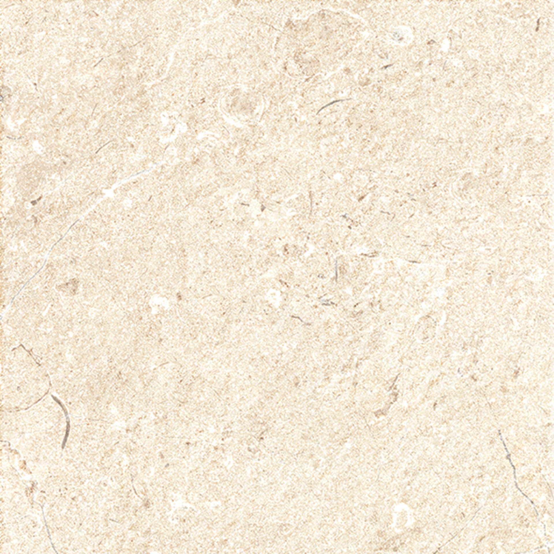 Sentieri Ivory