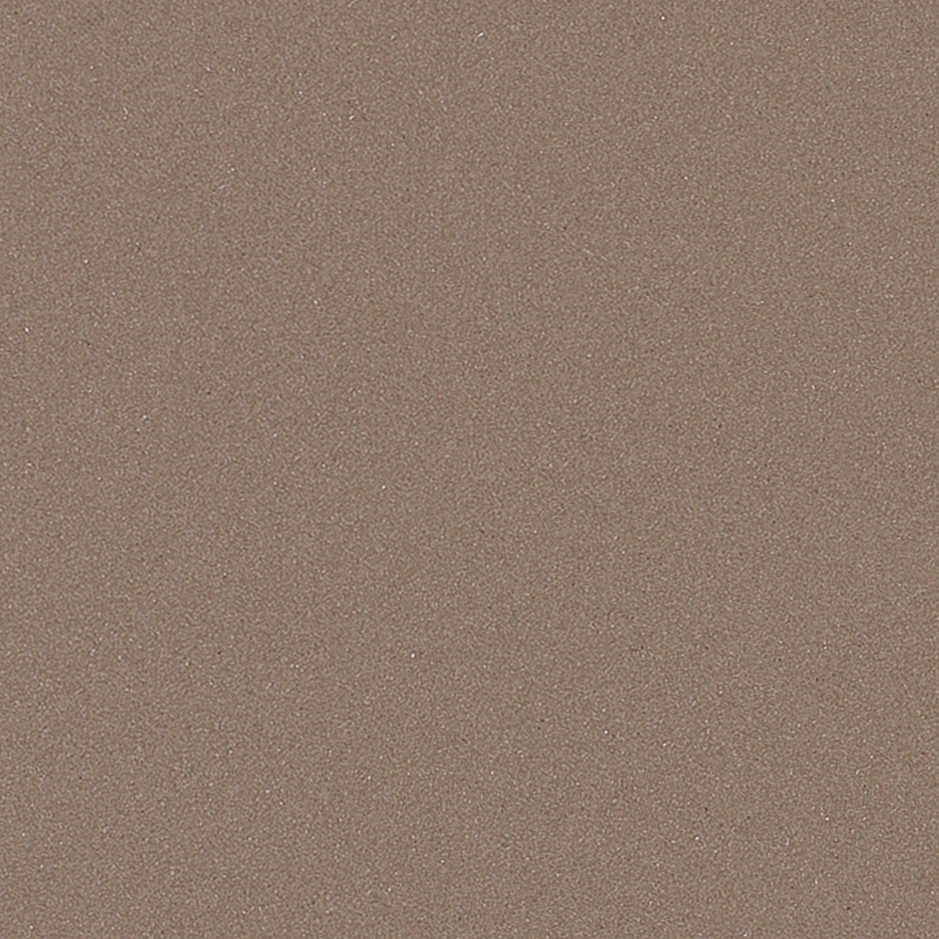 Tortora_c 30x30