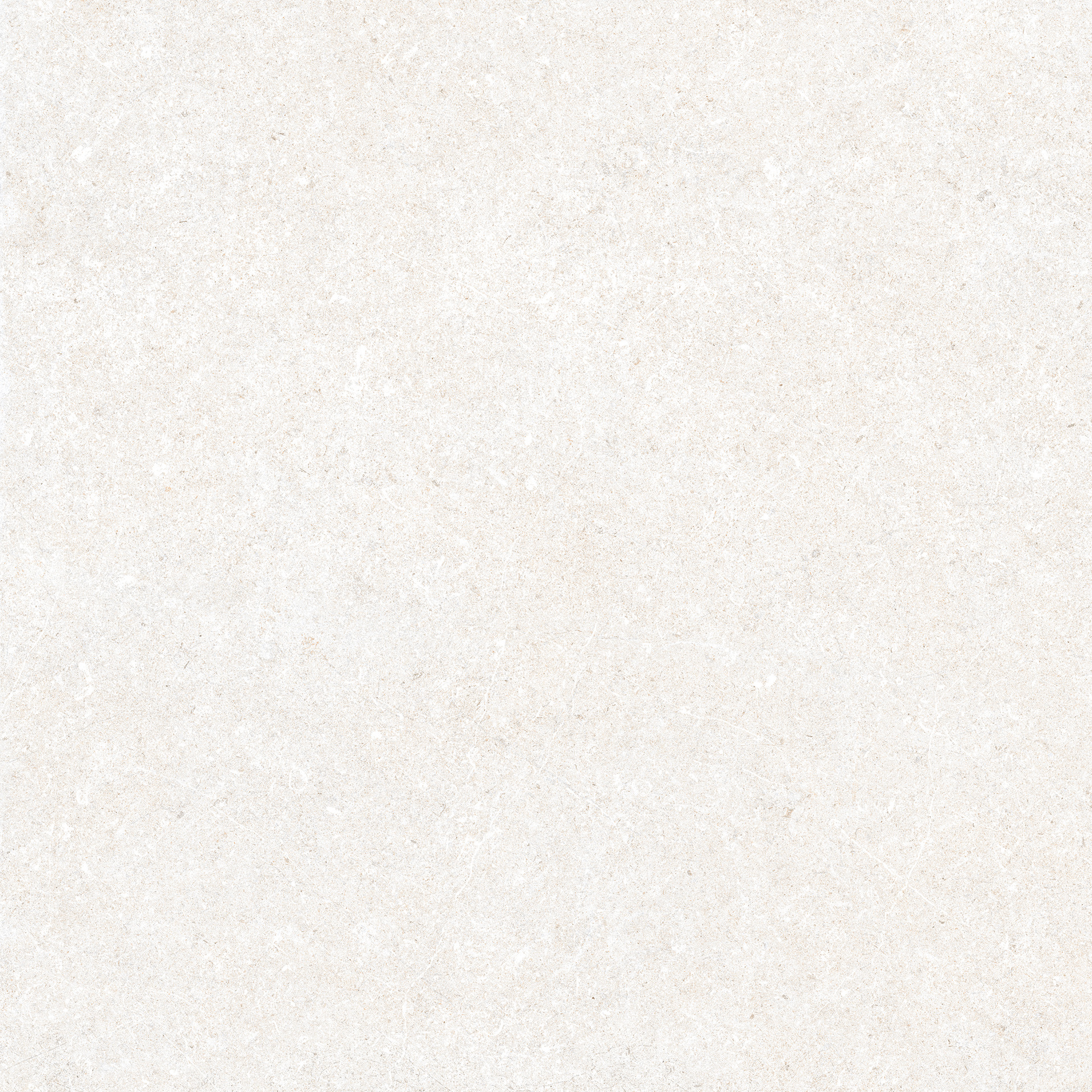 Stony Ivory Rett.
