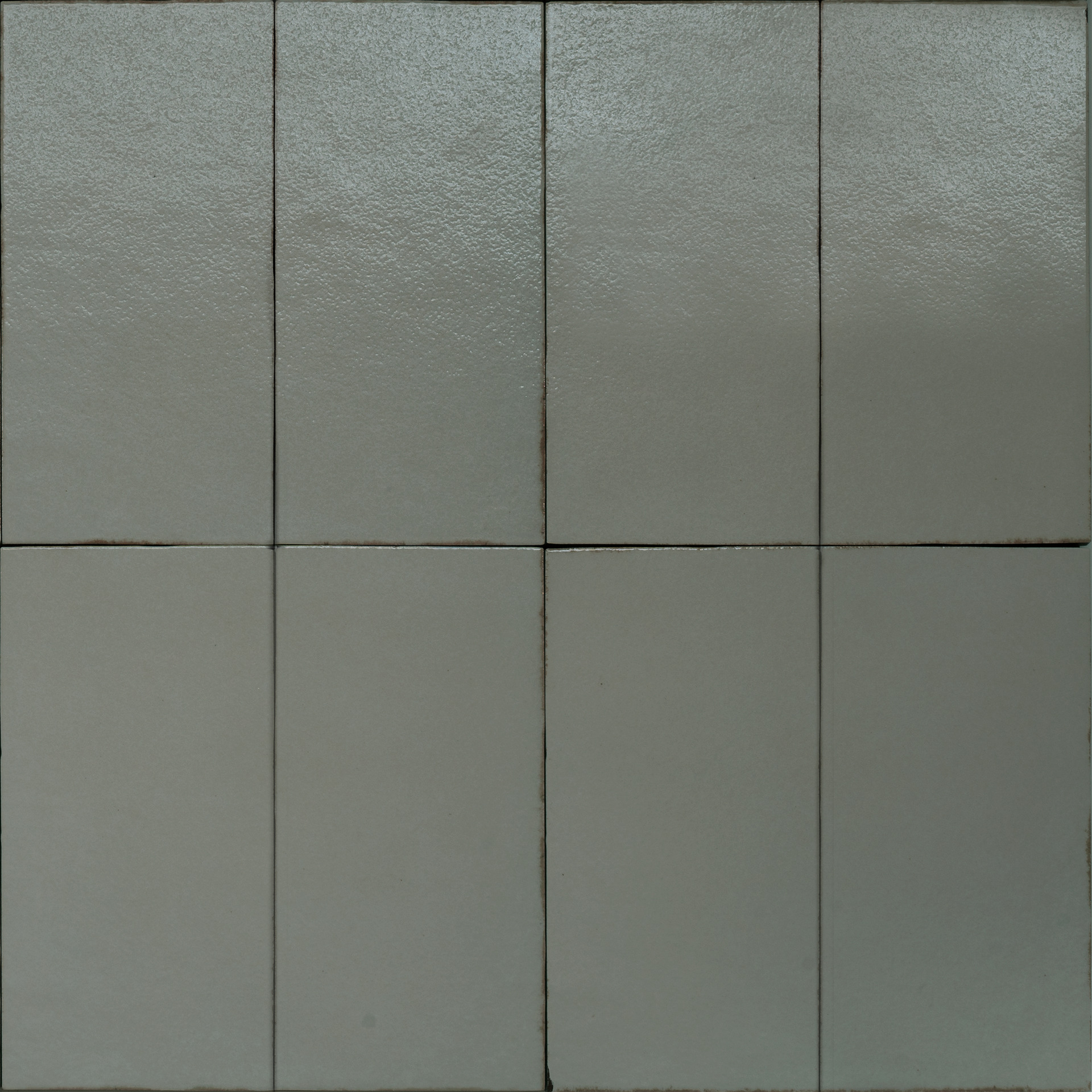 Terramater Lichene Lux