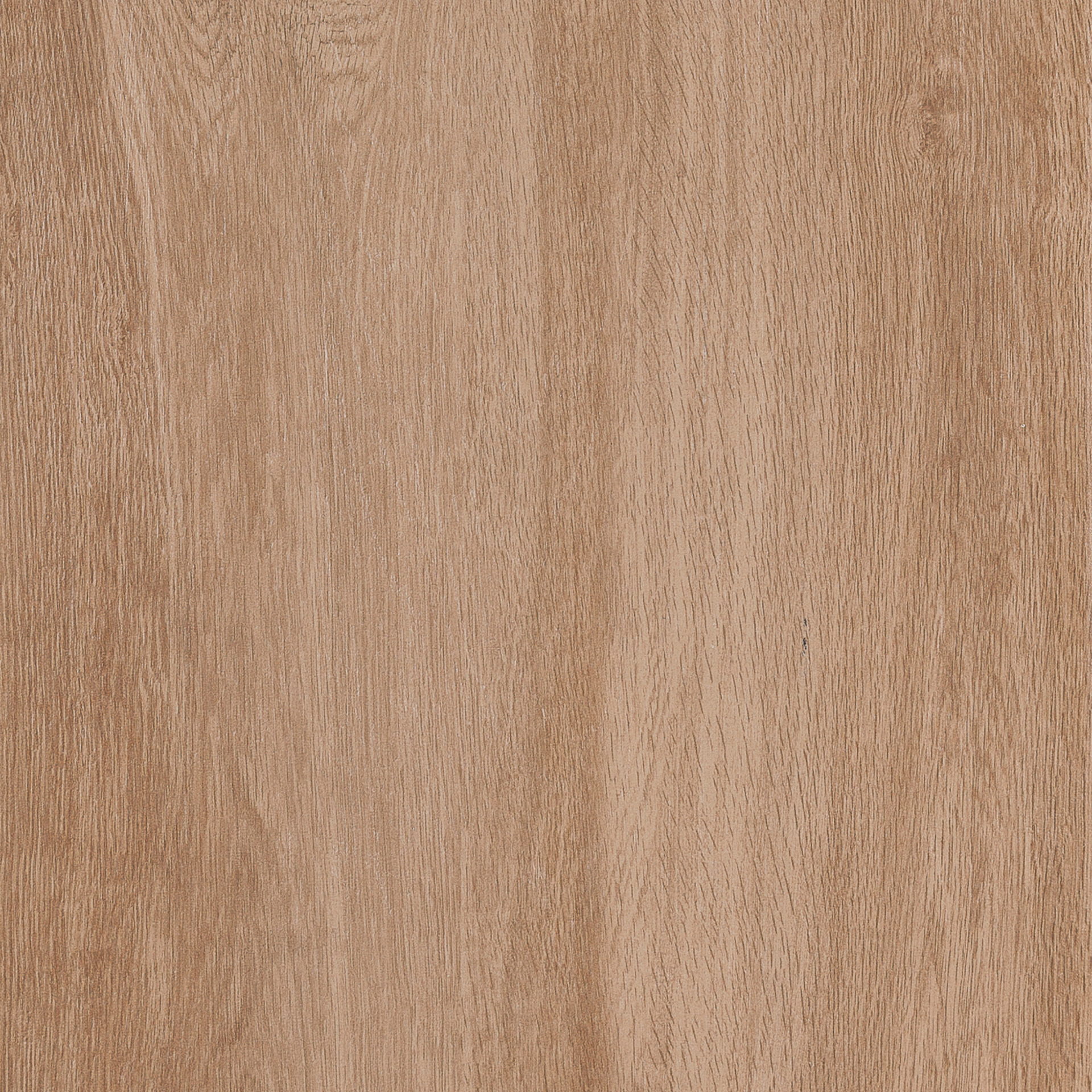 Treverkhome 20 Rett. Rovere
